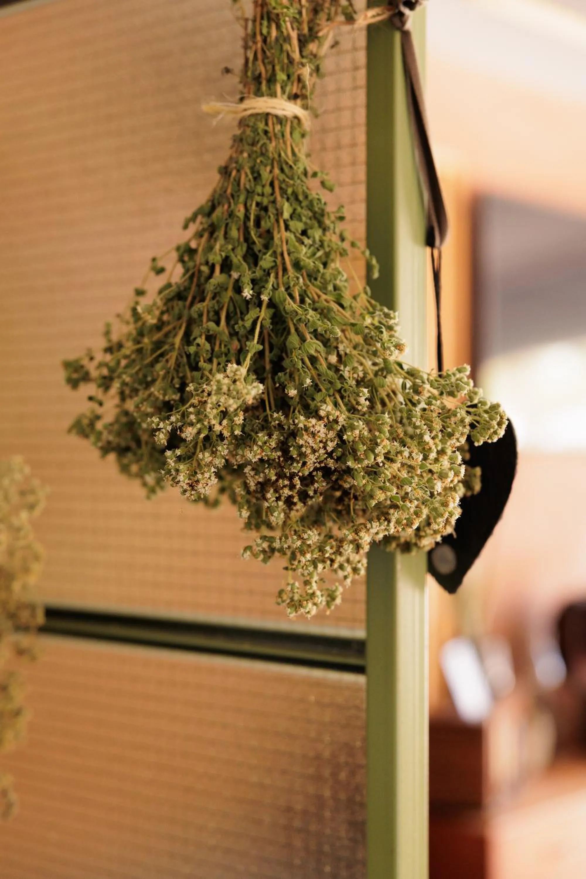 Restaurant/places to eat in Dominoes Corfu