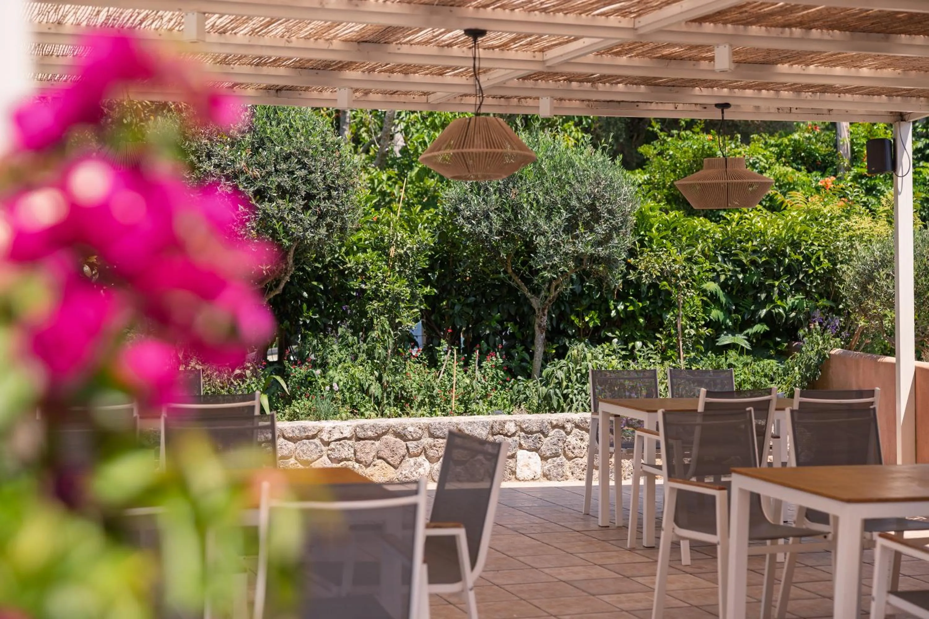 Restaurant/places to eat in Dominoes Corfu