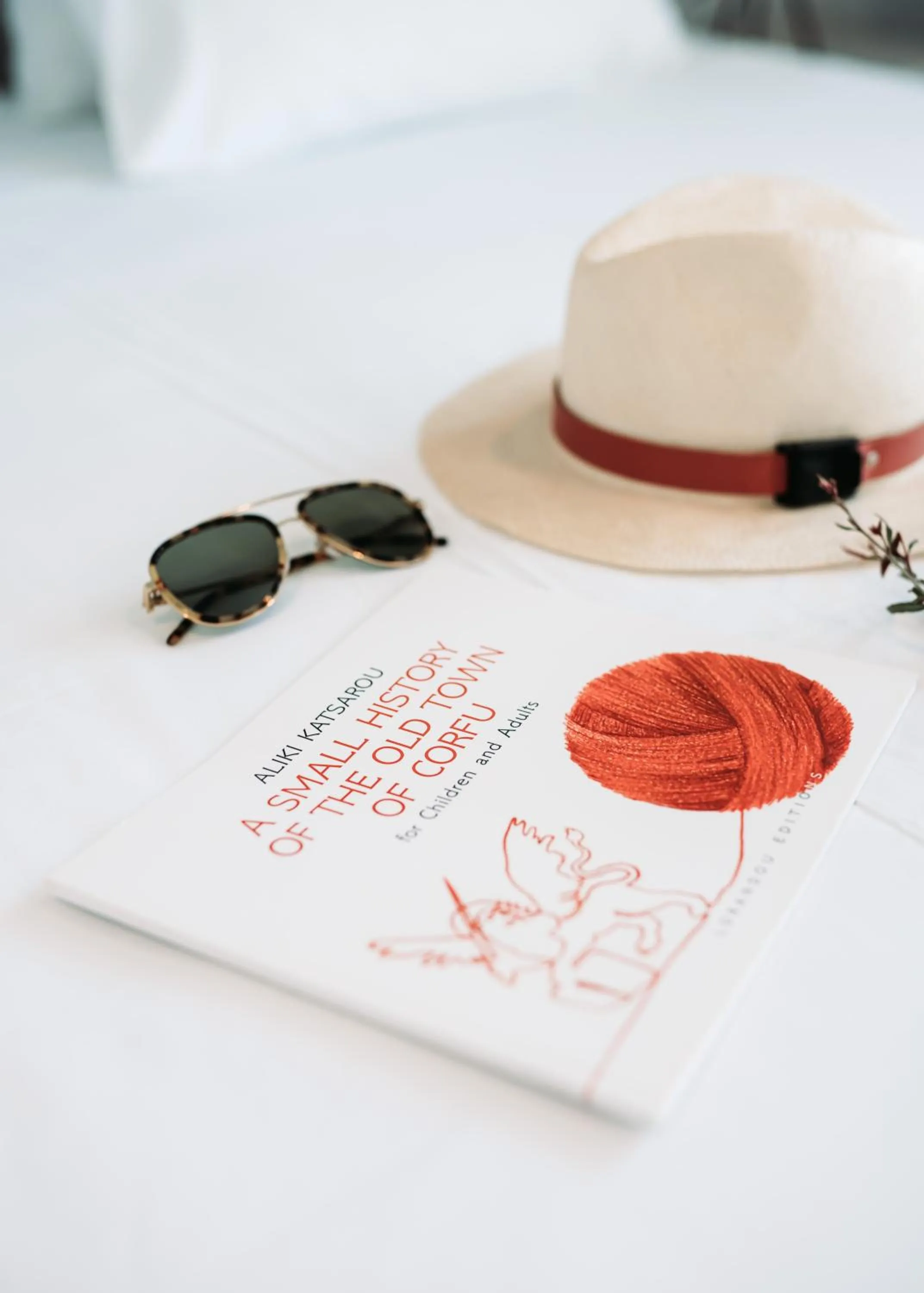 Decorative detail in Dominoes Corfu