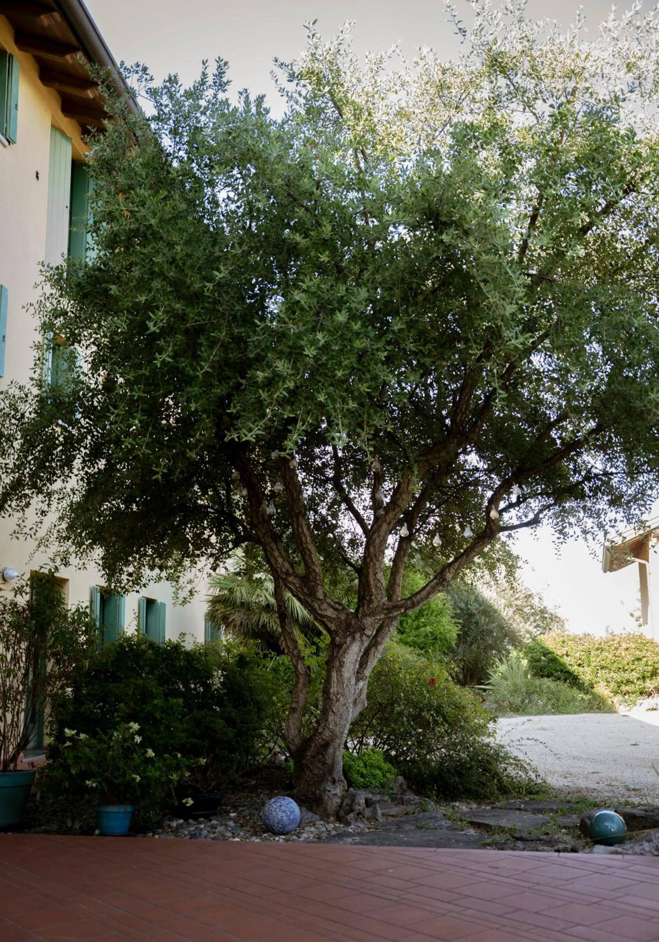 Garden in Tenuta Aganis