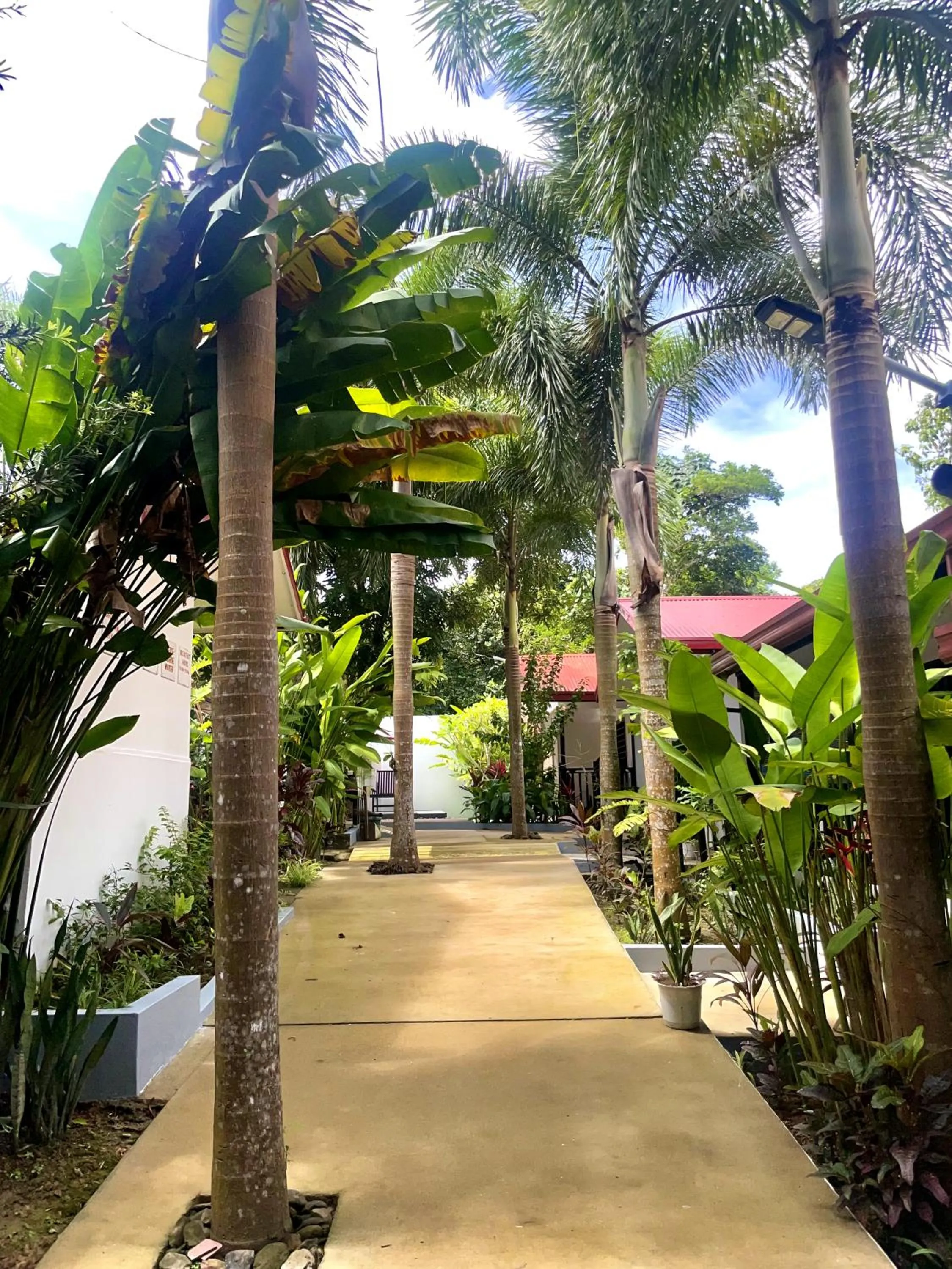 Garden in CED Villas