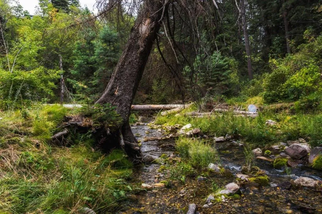 Spring in Cottage On The Stream Sundance, Utah