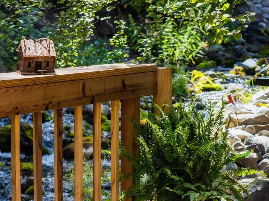 Spring in Cottage On The Stream Sundance, Utah