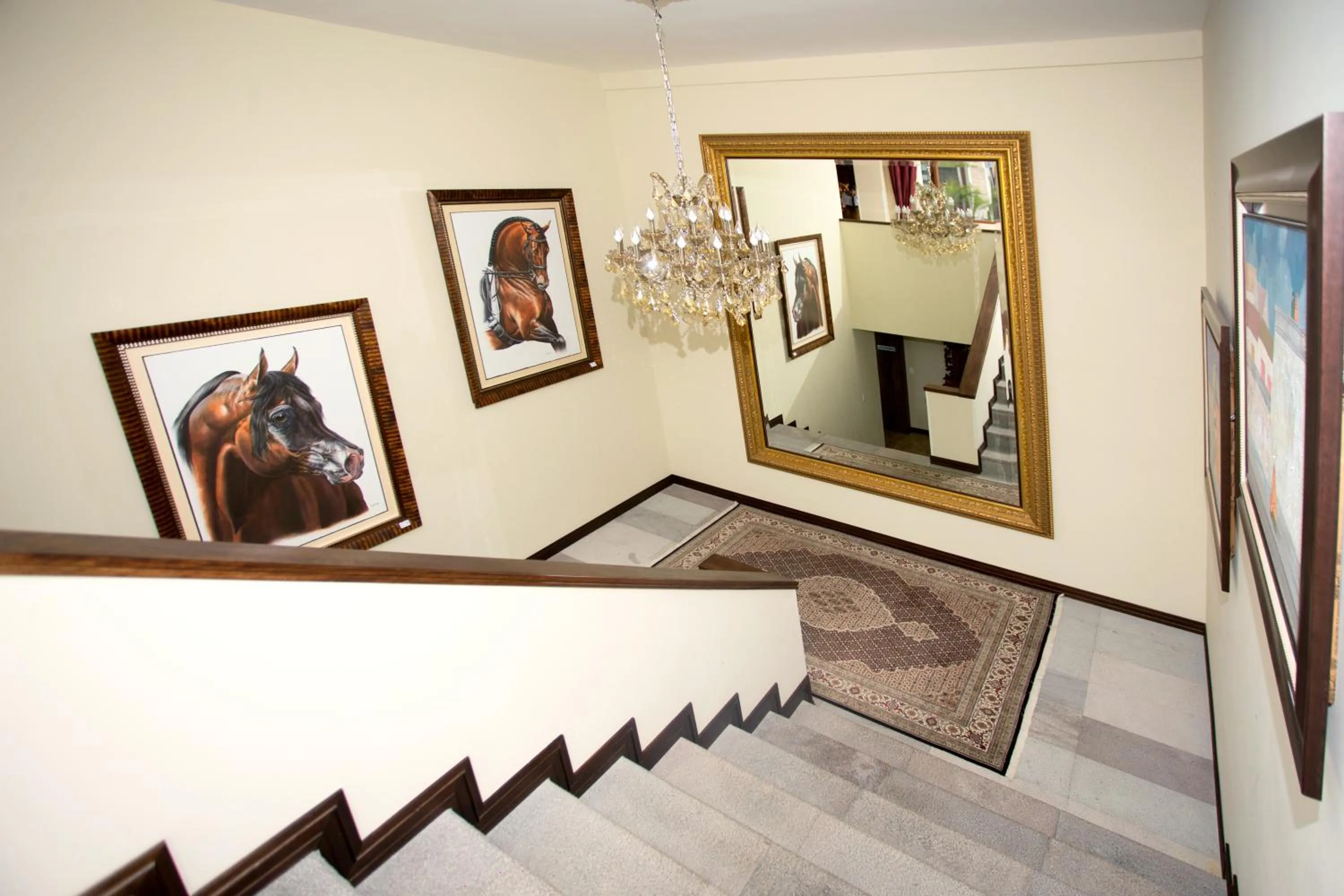 Area and facilities in Hotel Medina Del Lago