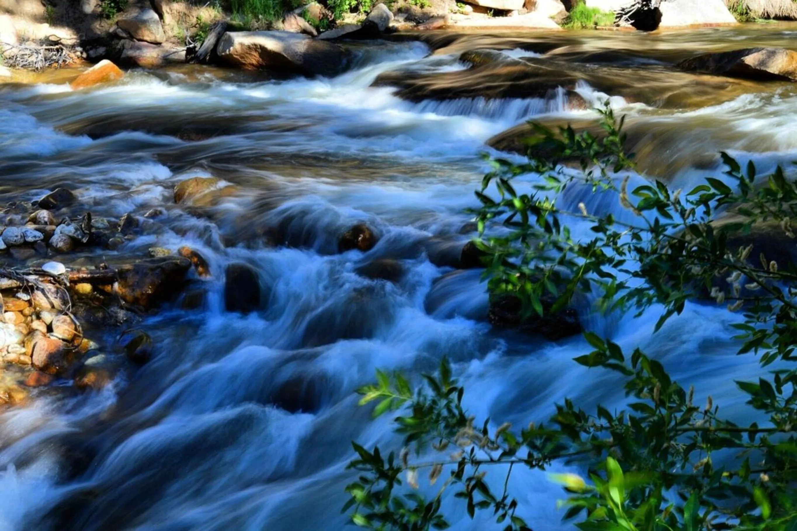 The Inn on Fall River & Fall River Cabins