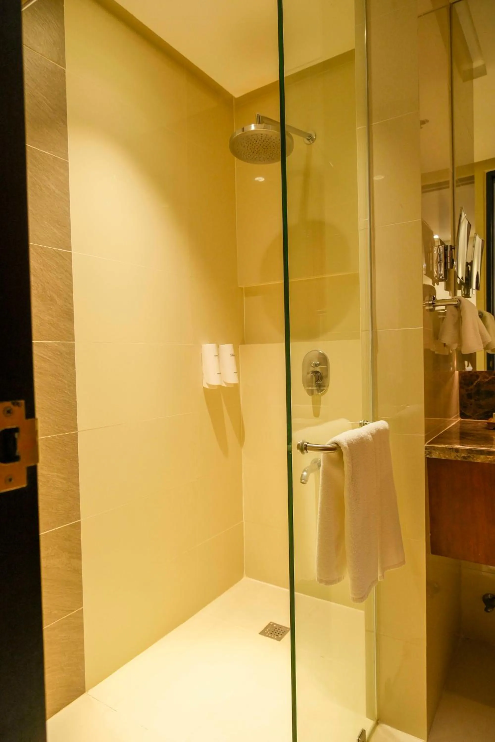 Shower in Best Western Plus The Ivywall Hotel - Palawan