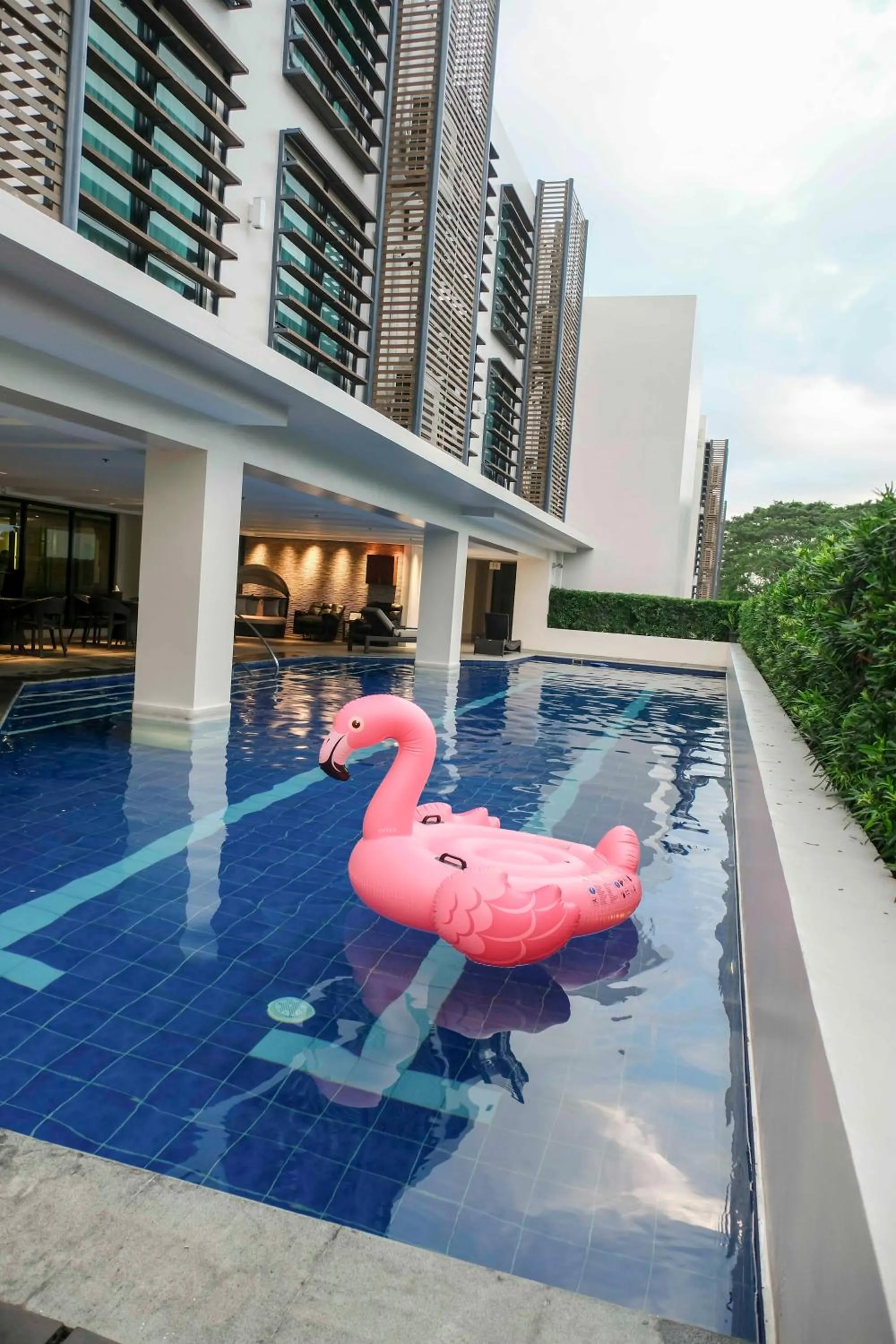 Swimming pool in Best Western Plus The Ivywall Hotel - Palawan