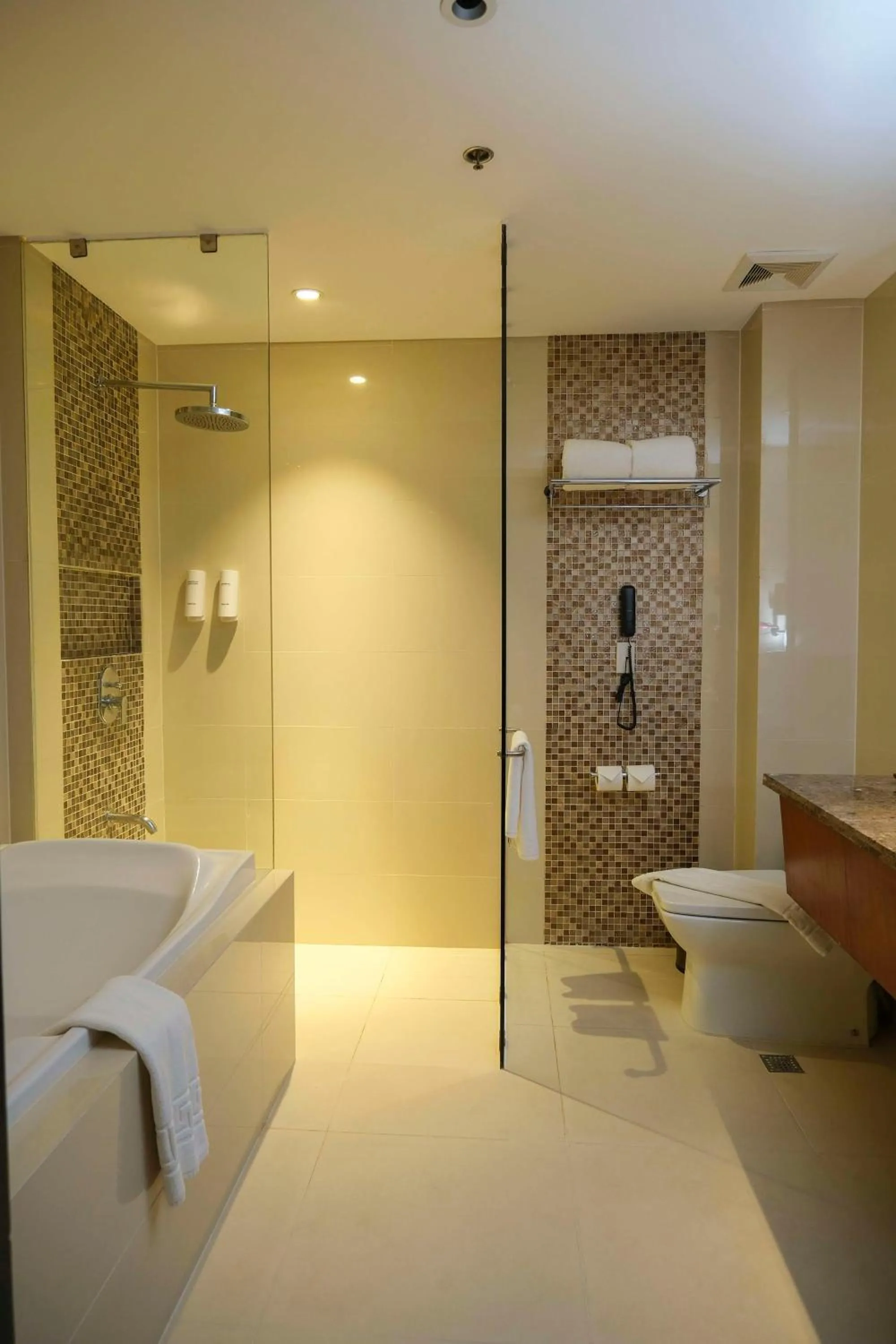 Bathroom in Best Western Plus The Ivywall Hotel - Palawan