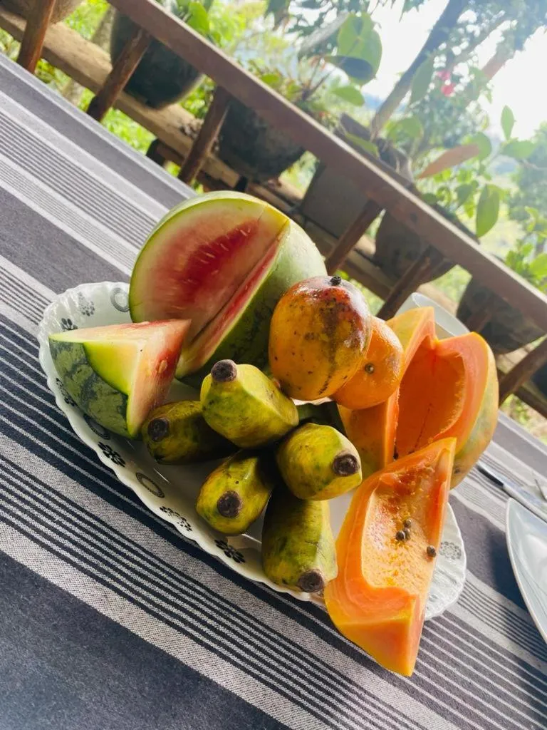 Food and drinks in Hidden Gem Inn