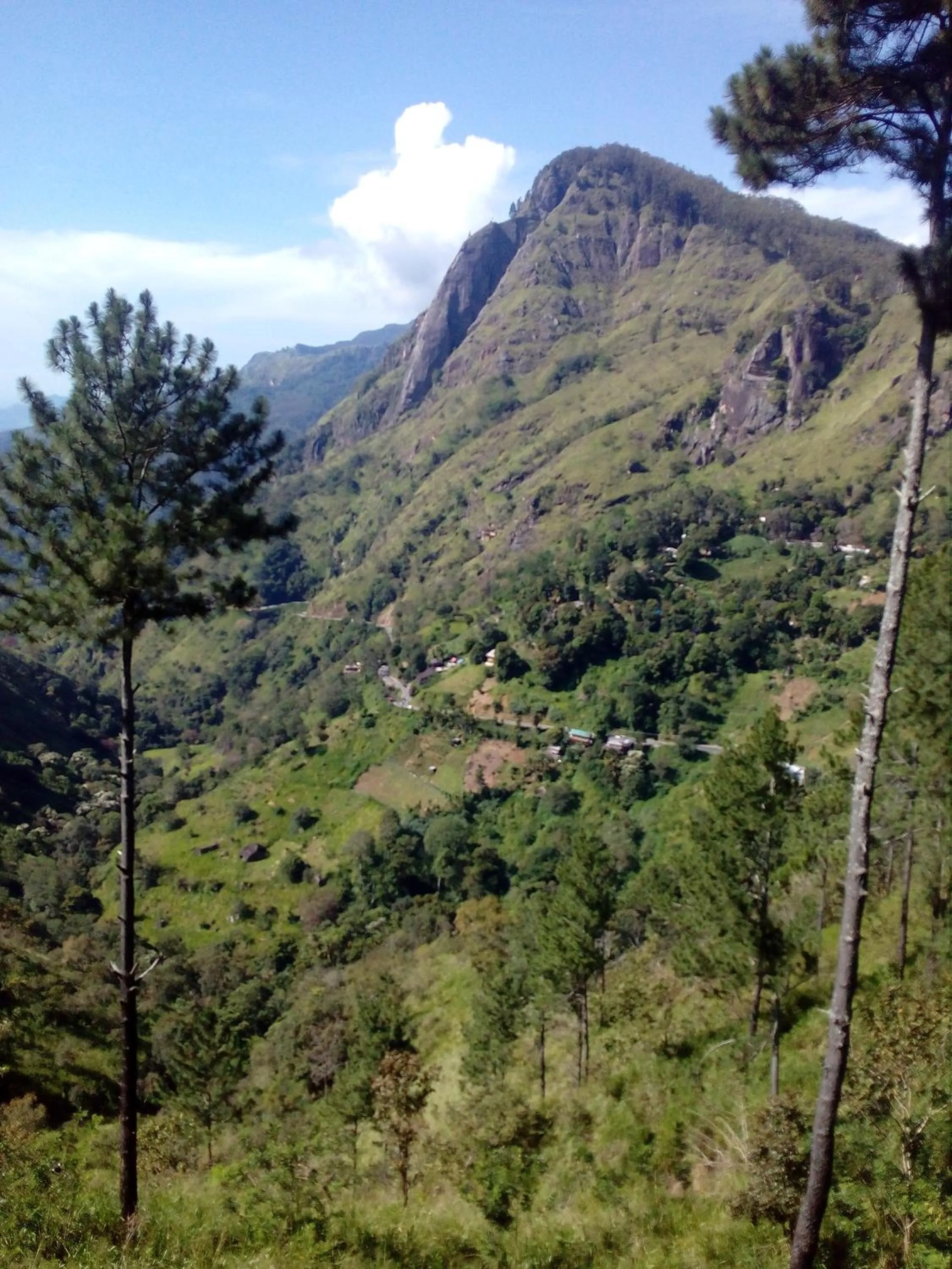 Mountain view in Hidden Gem Inn