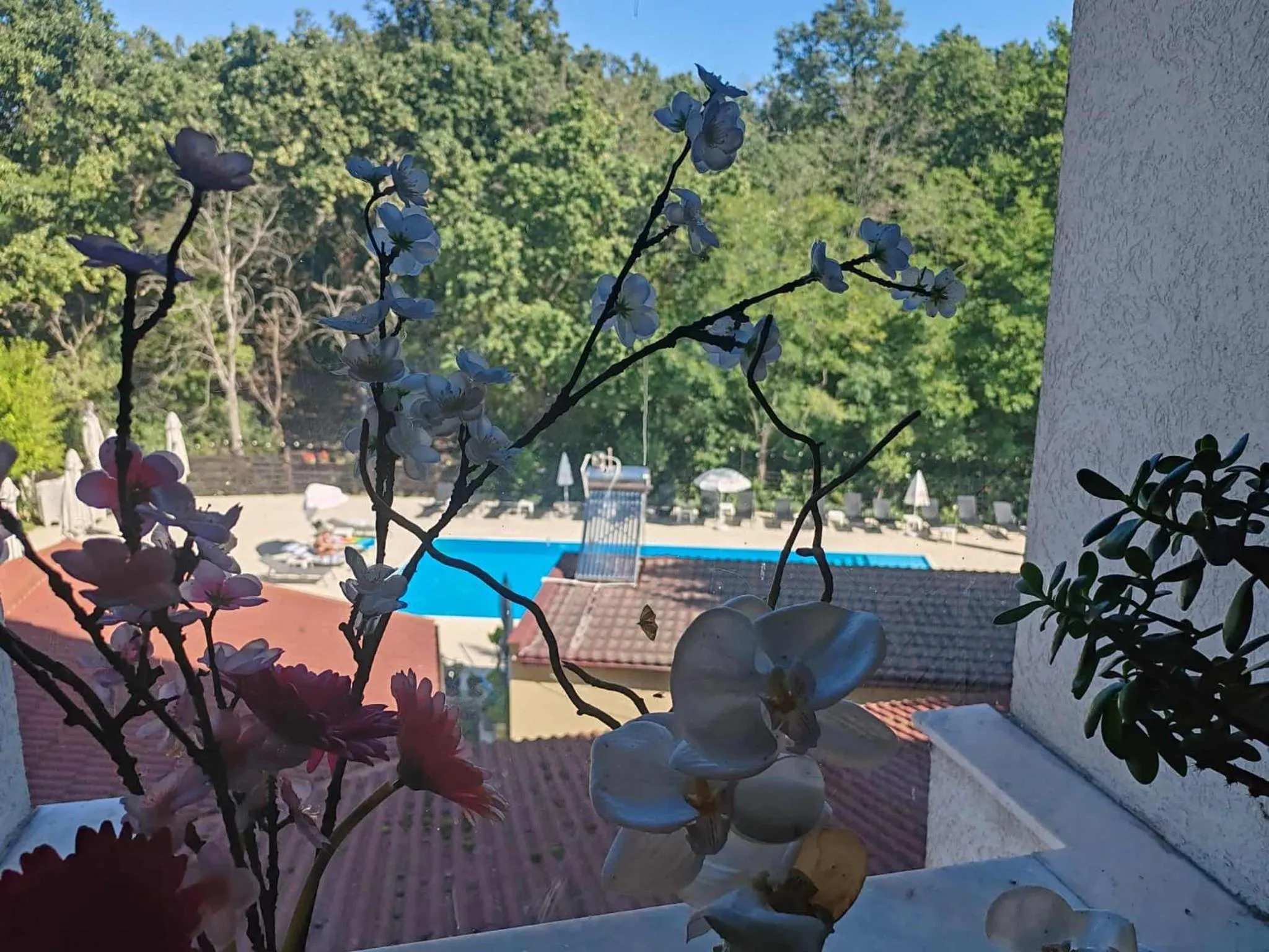 Swimming pool in Anthimos