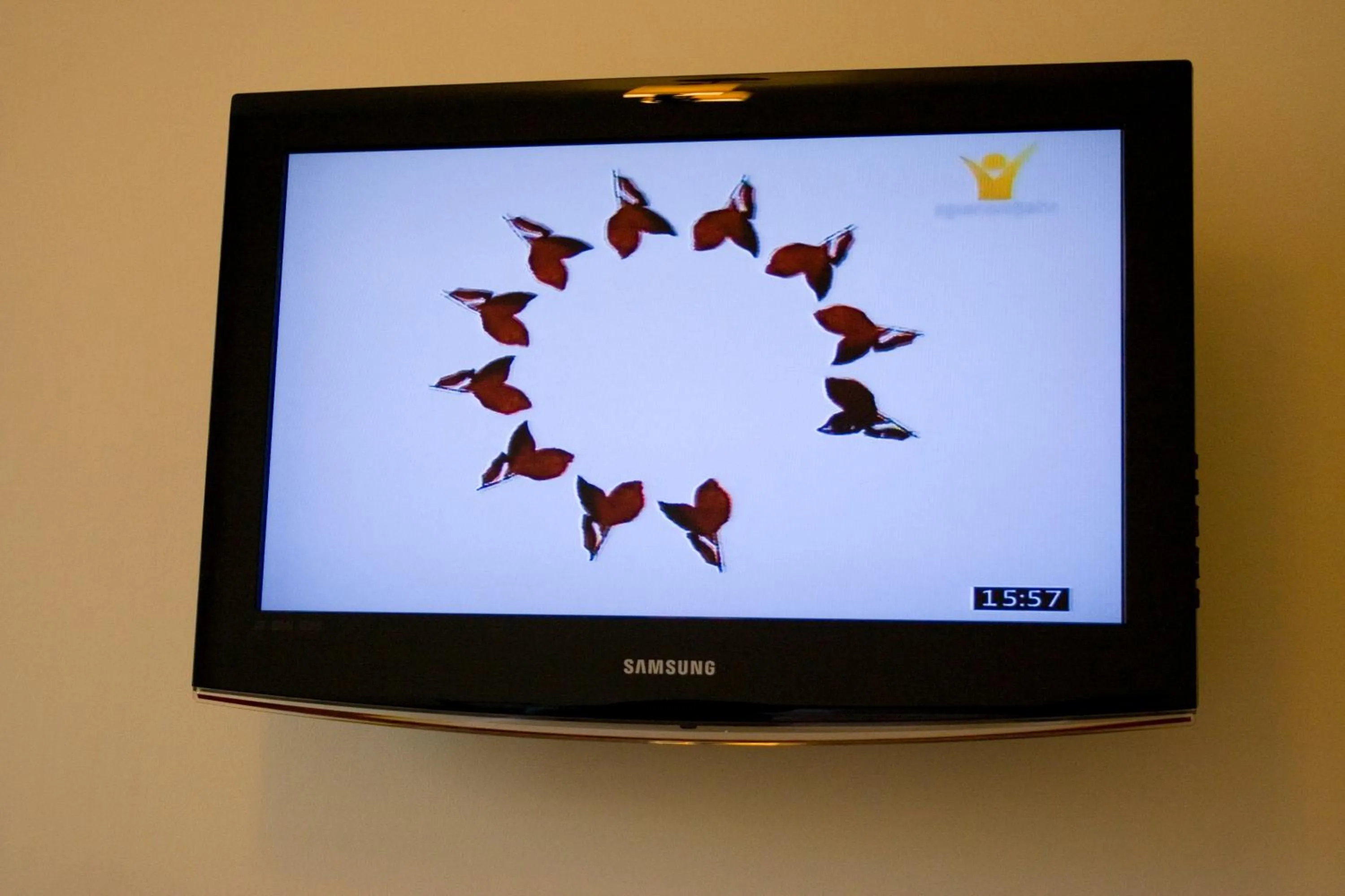 TV and multimedia in Anthimos