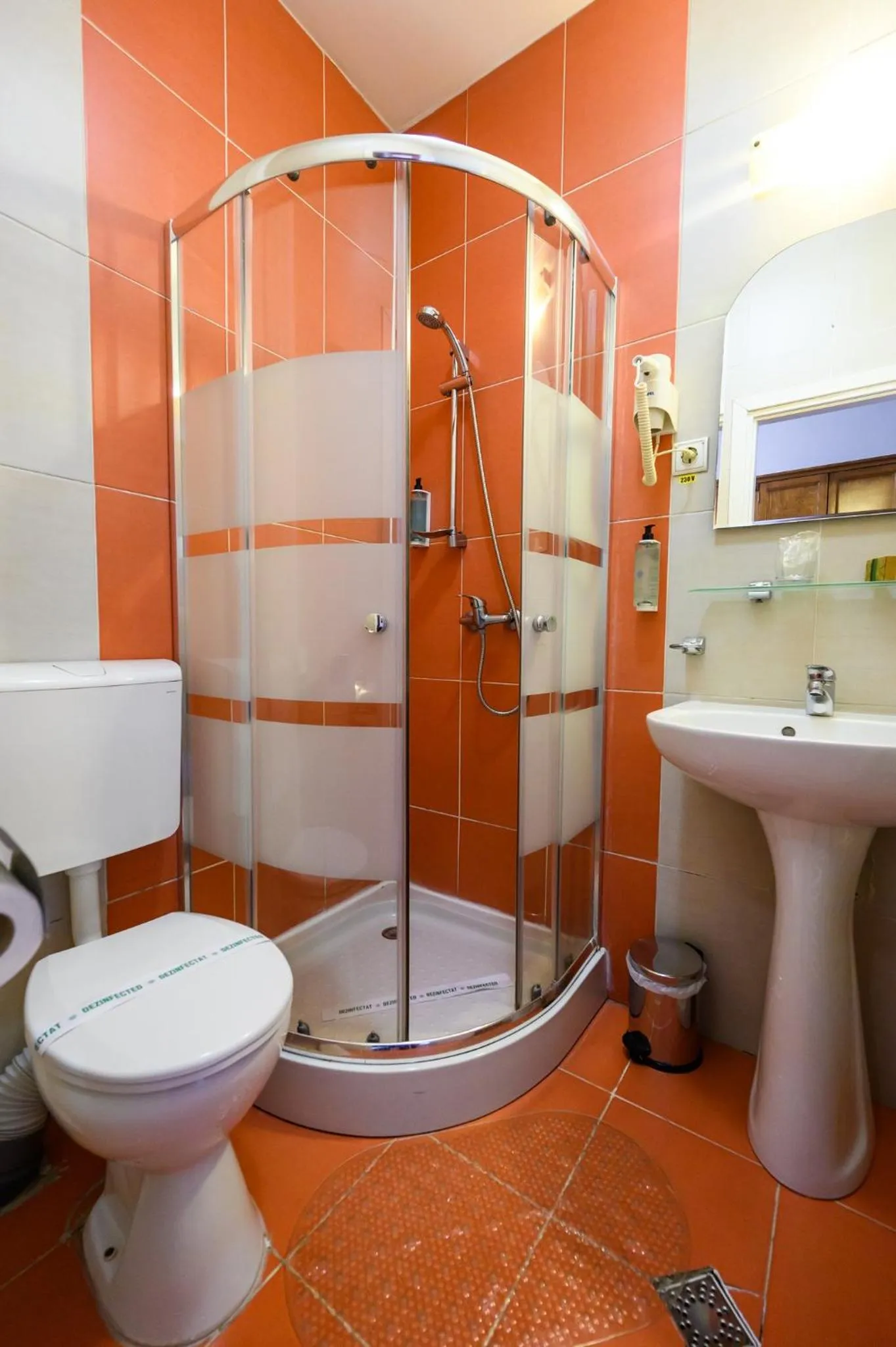 Shower in Hotel Transilvania