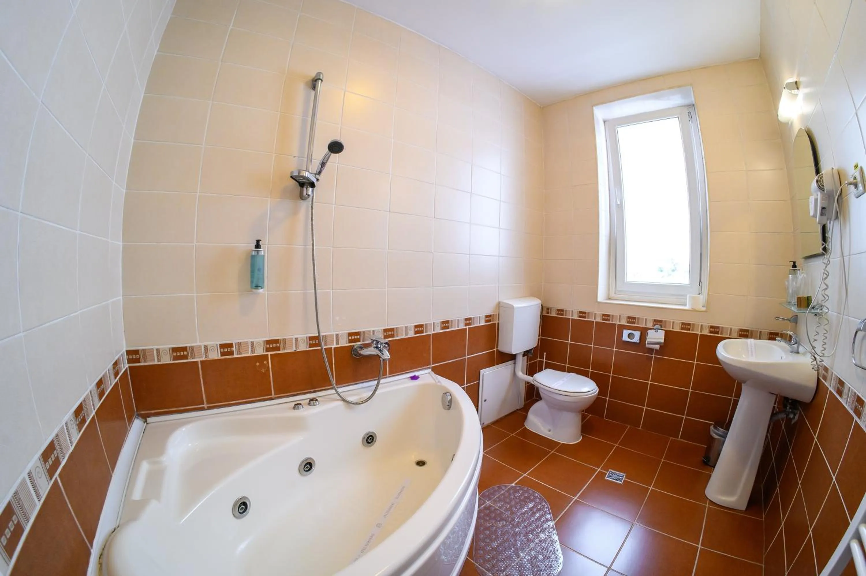 Shower in Hotel Transilvania