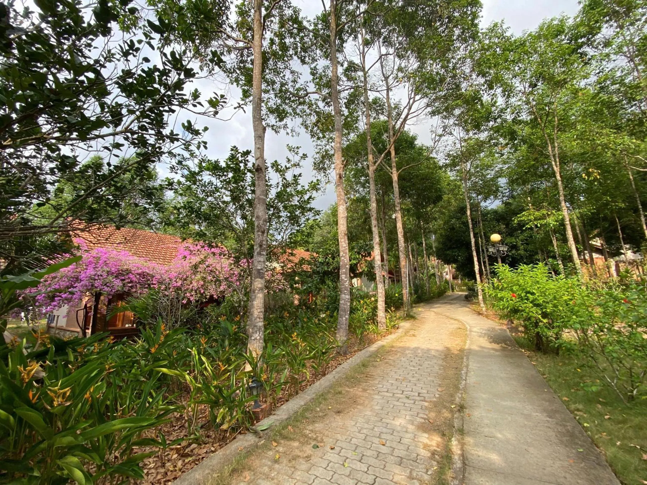 View (from property/room) in The Garden House Phu Quoc Resort