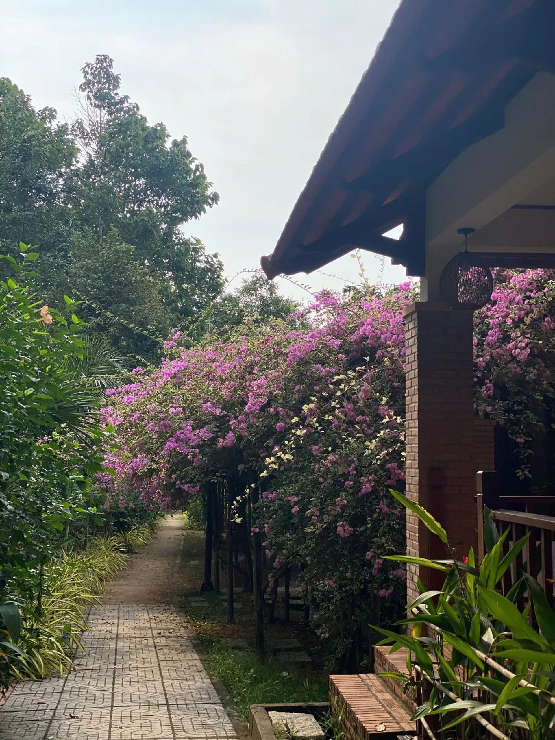 View (from property/room) in The Garden House Phu Quoc Resort