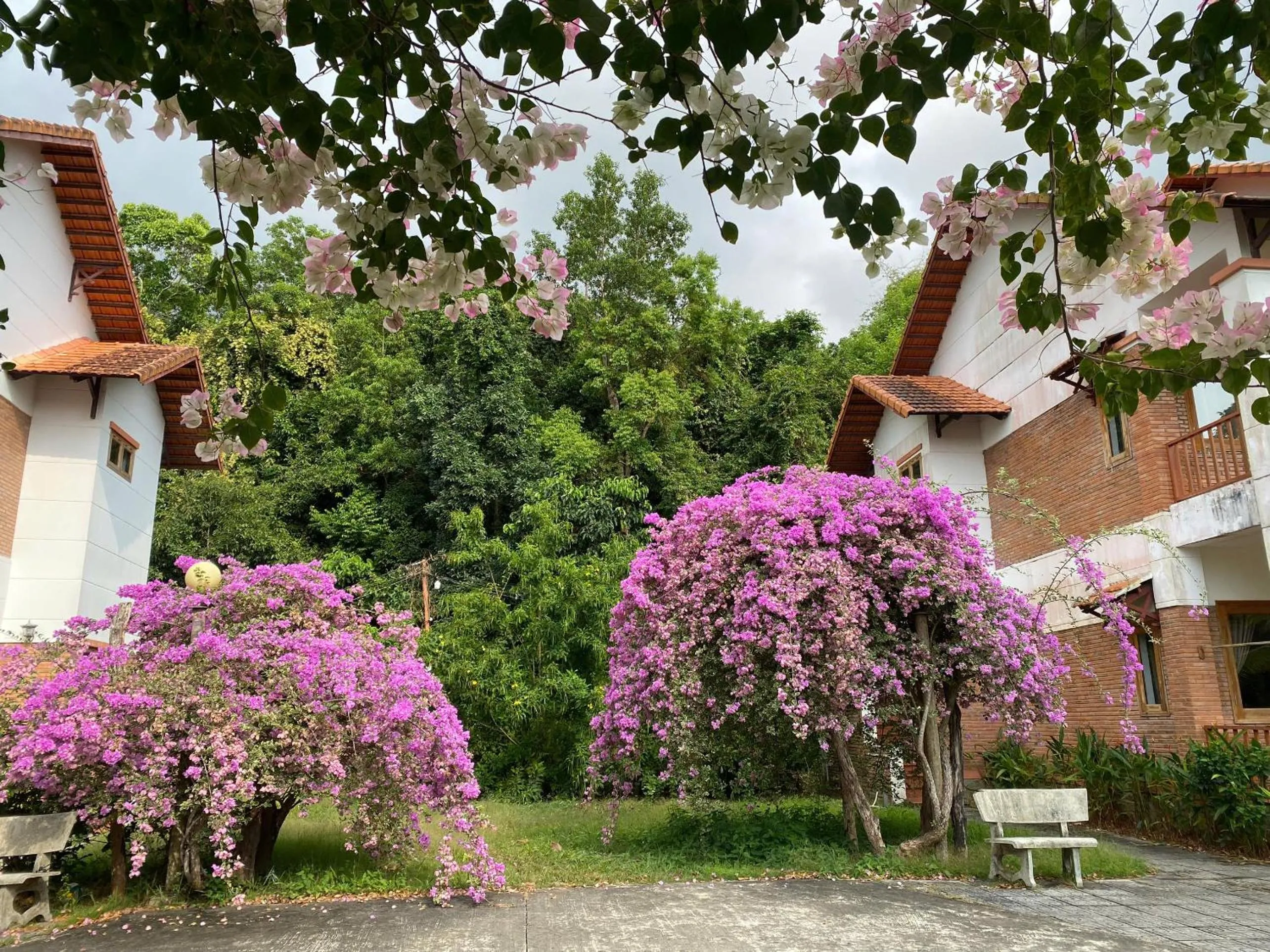 Inner courtyard view in The Garden House Phu Quoc Resort
