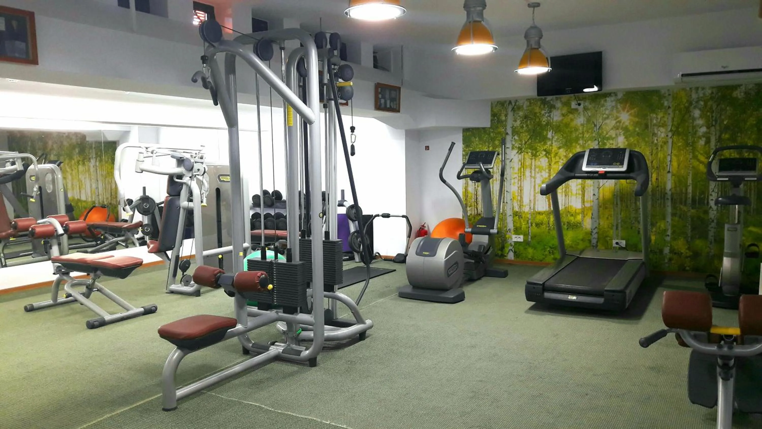 Fitness centre/facilities in Hotel Tecadra