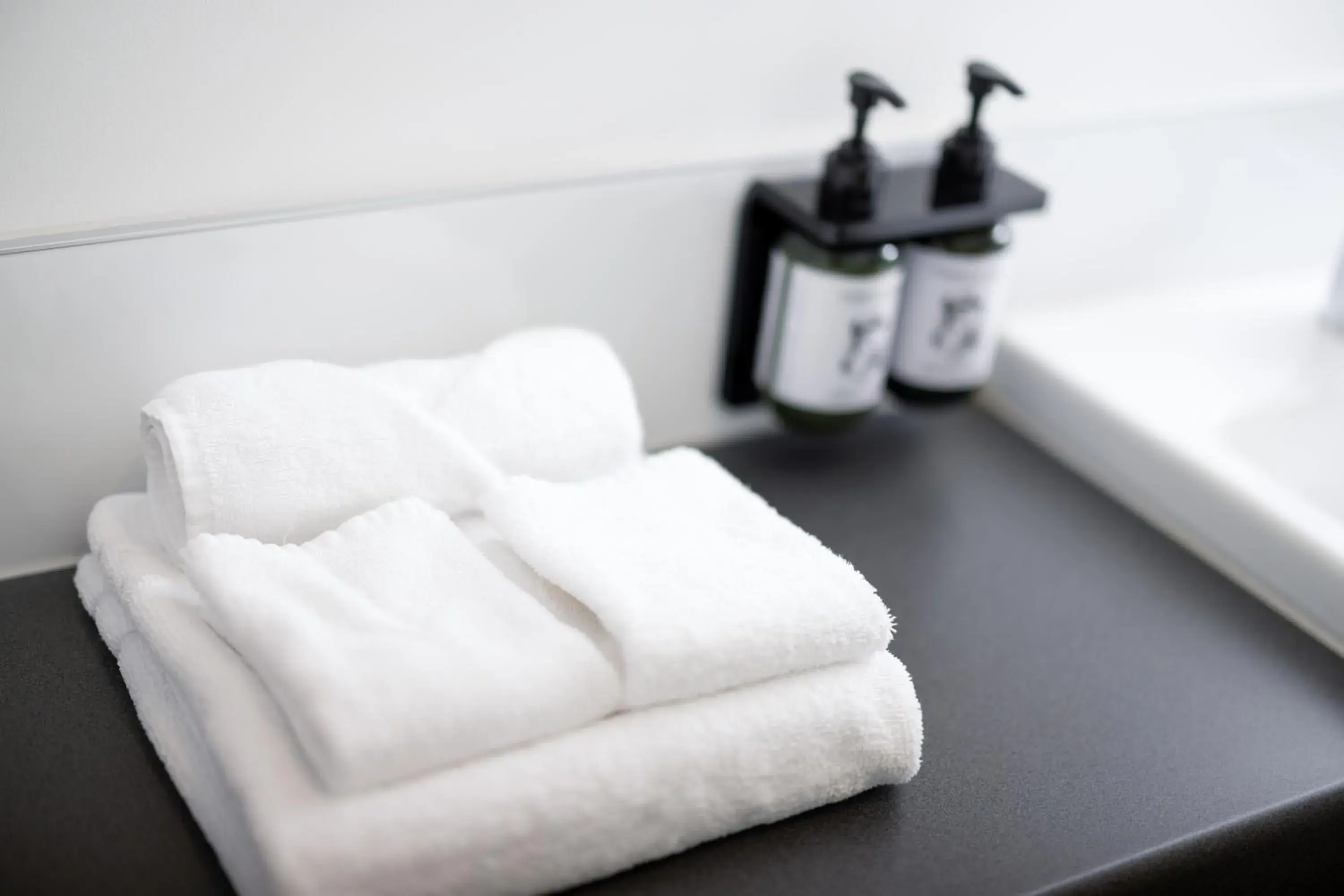 One-Bedroom Apartment in Hotel Give One-Bedroom Apartment in Hotel Give