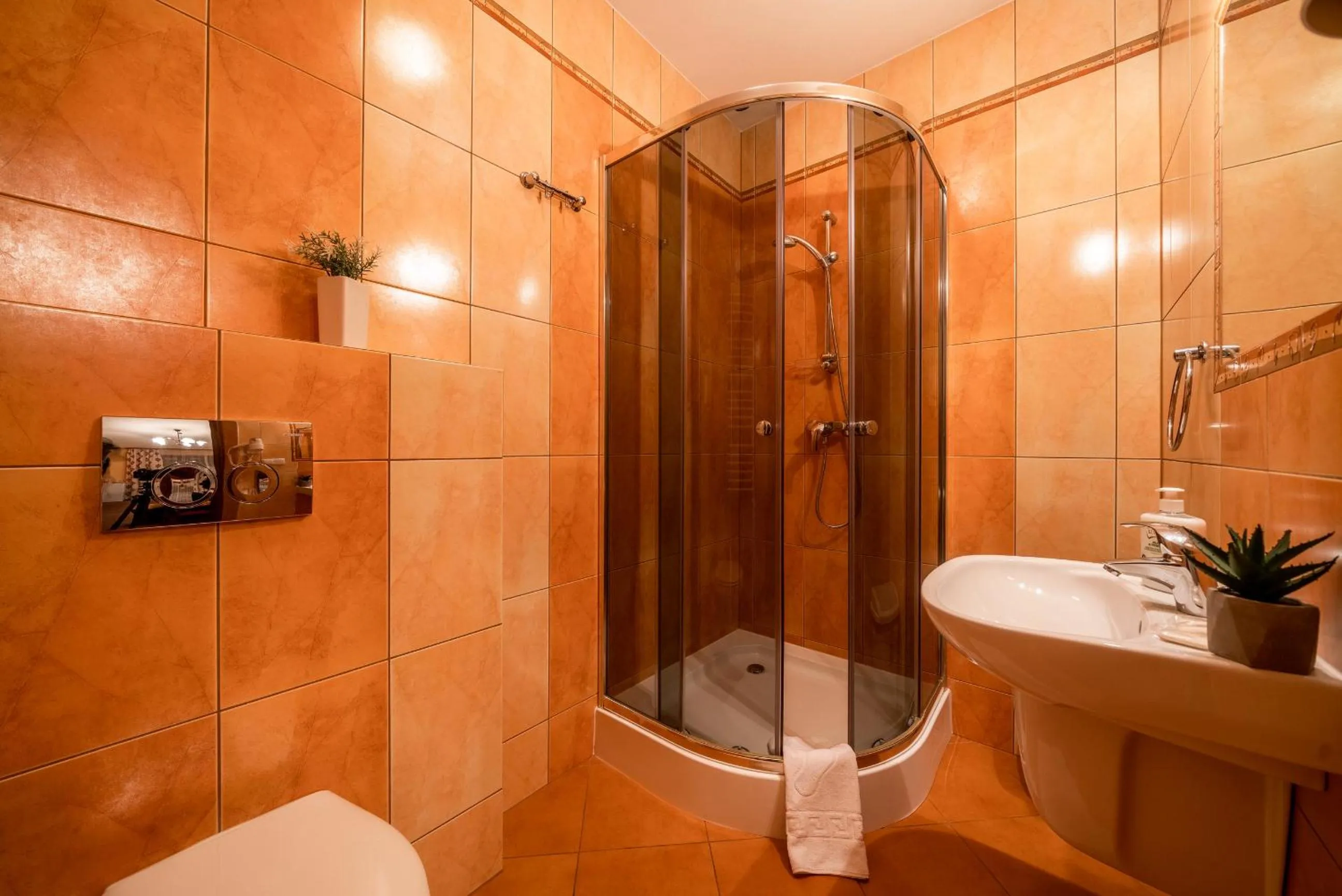 Bathroom in Willa u Zwijaczy