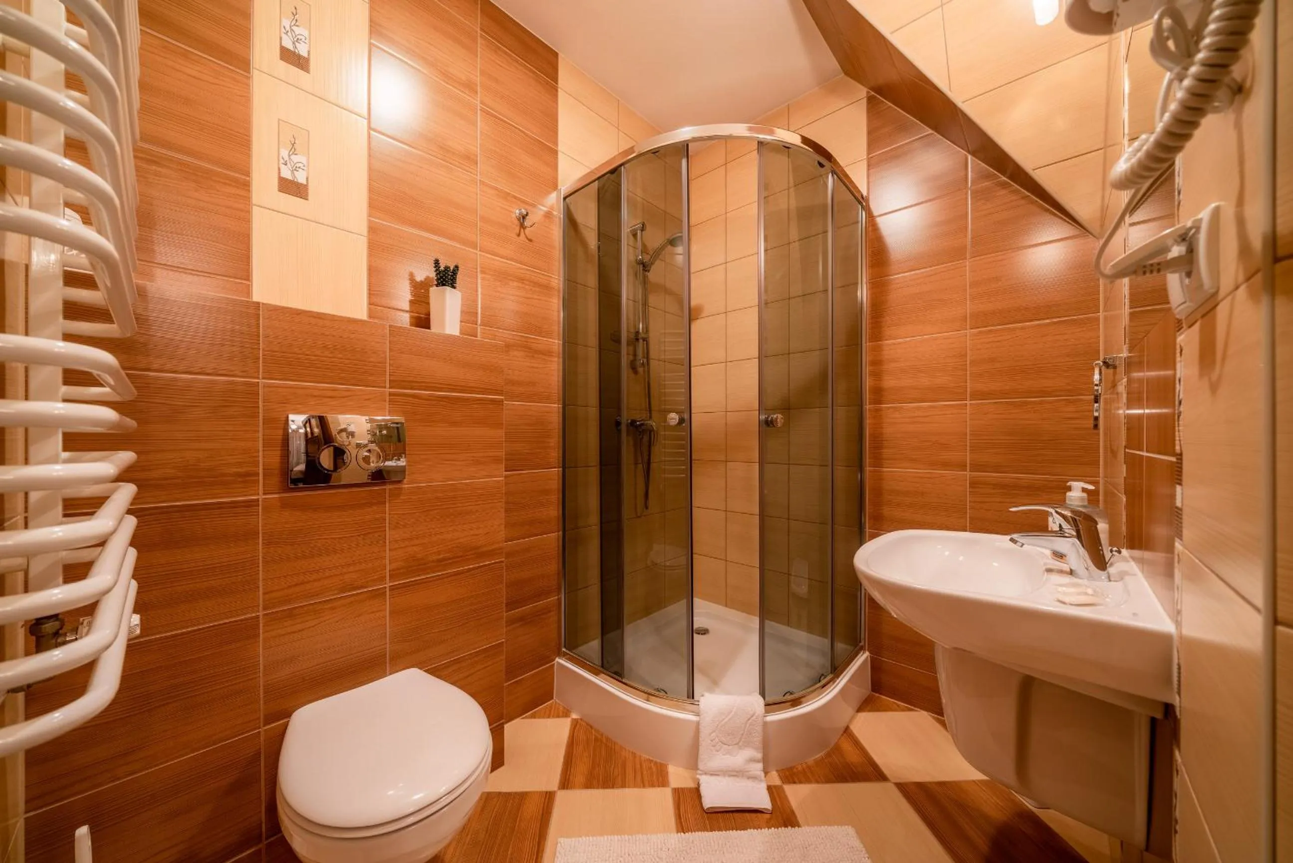 Shower in Willa u Zwijaczy