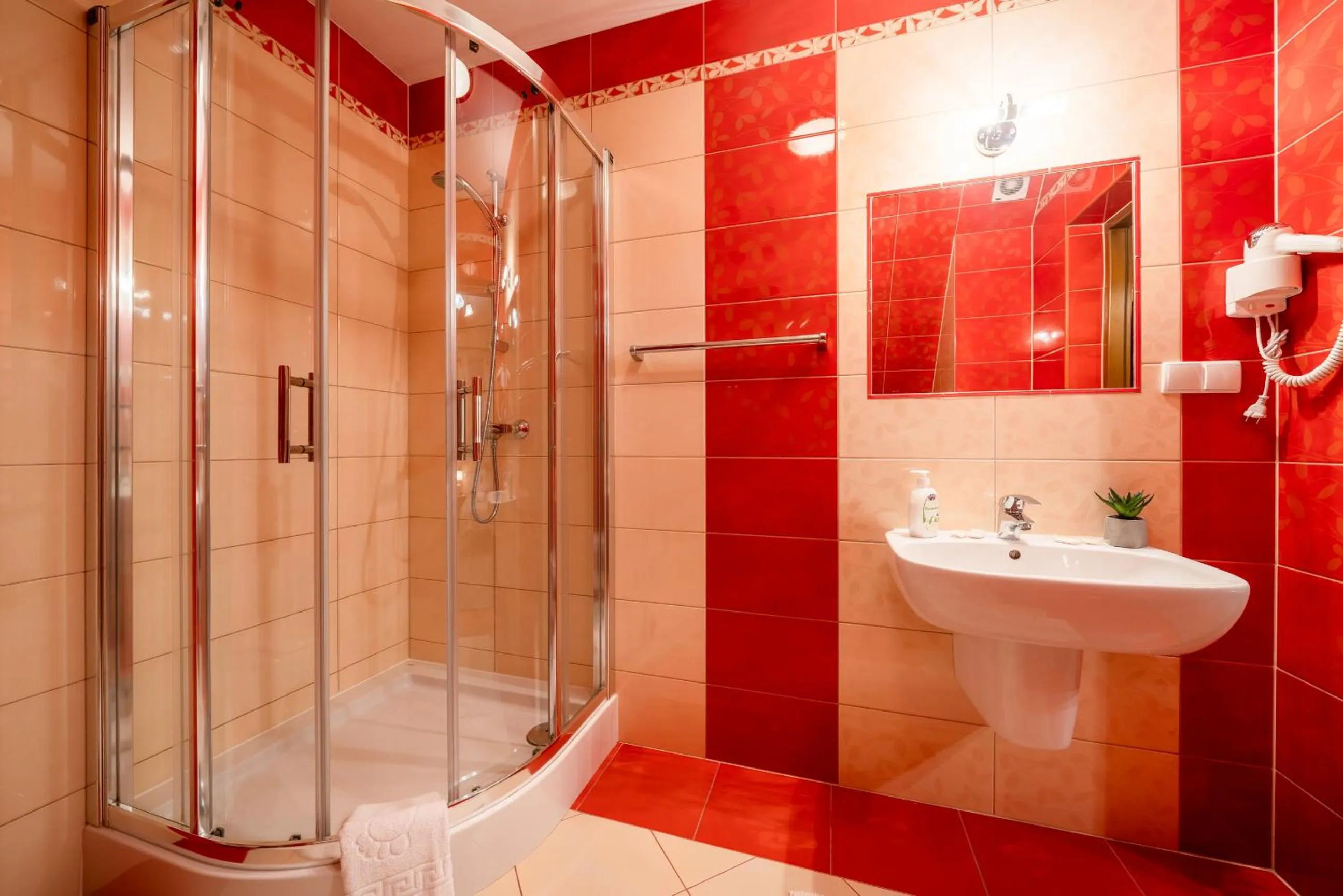 Shower in Willa u Zwijaczy