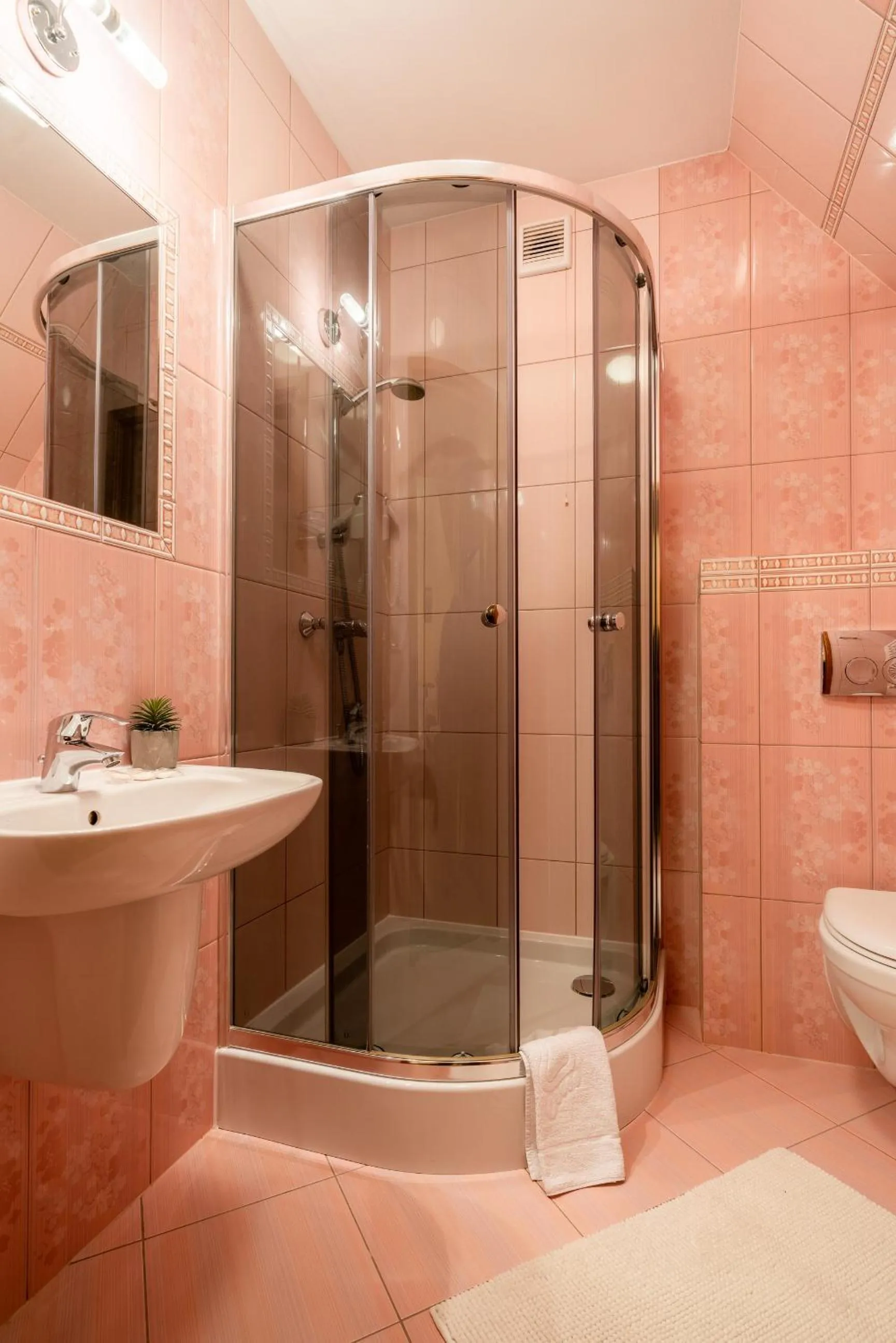 Shower in Willa u Zwijaczy