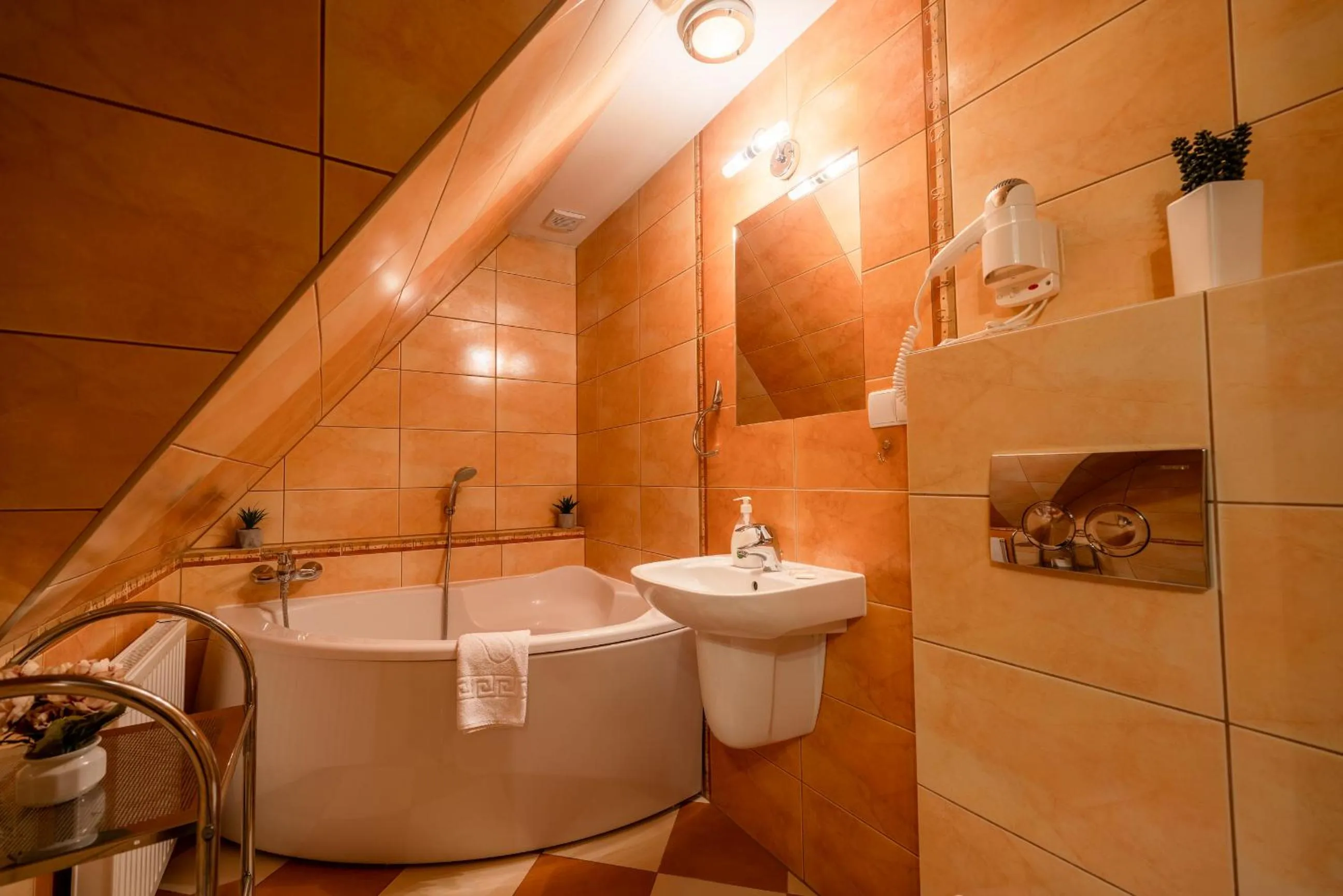 Bathroom in Willa u Zwijaczy