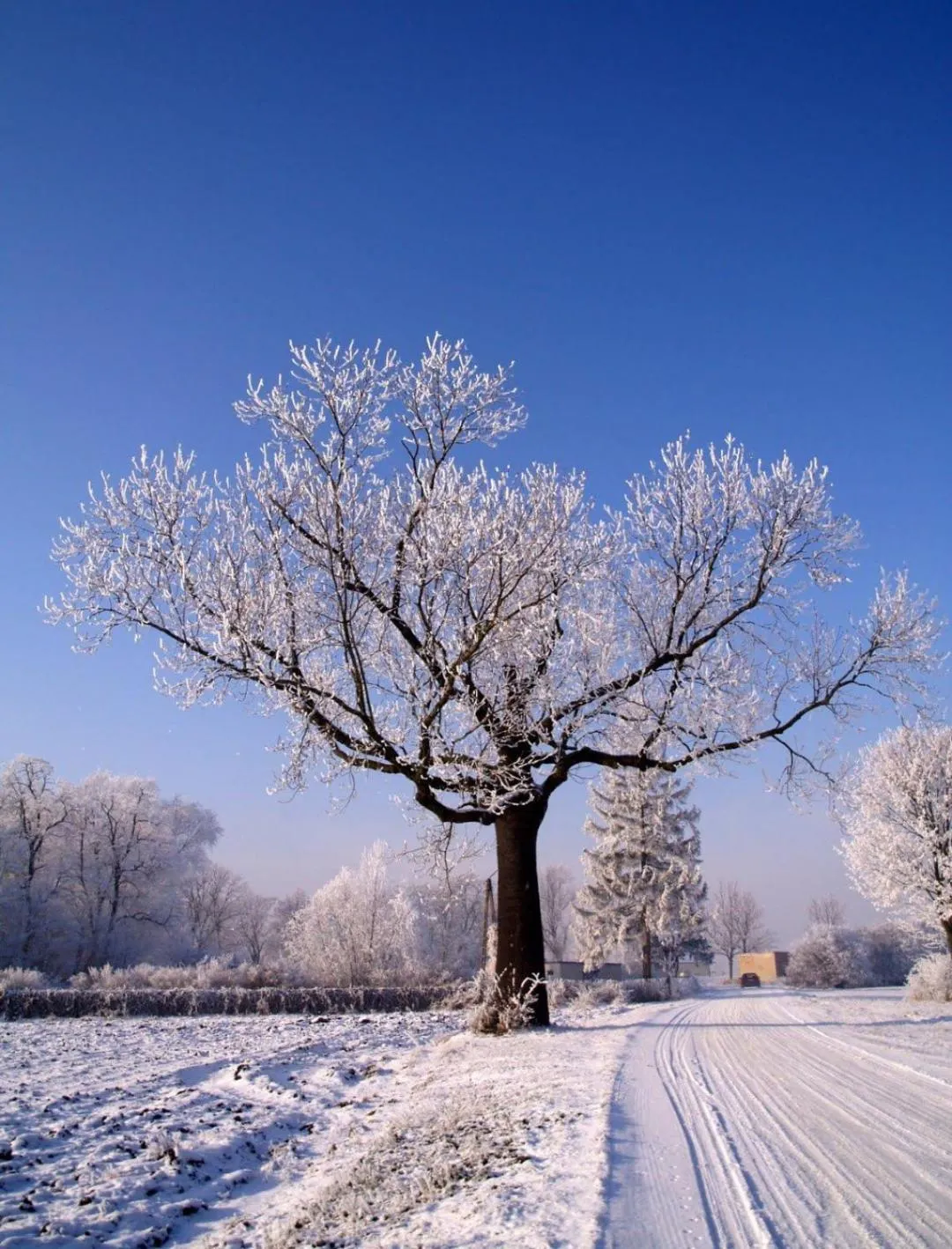 Natural landscape in Willa u Zwijaczy