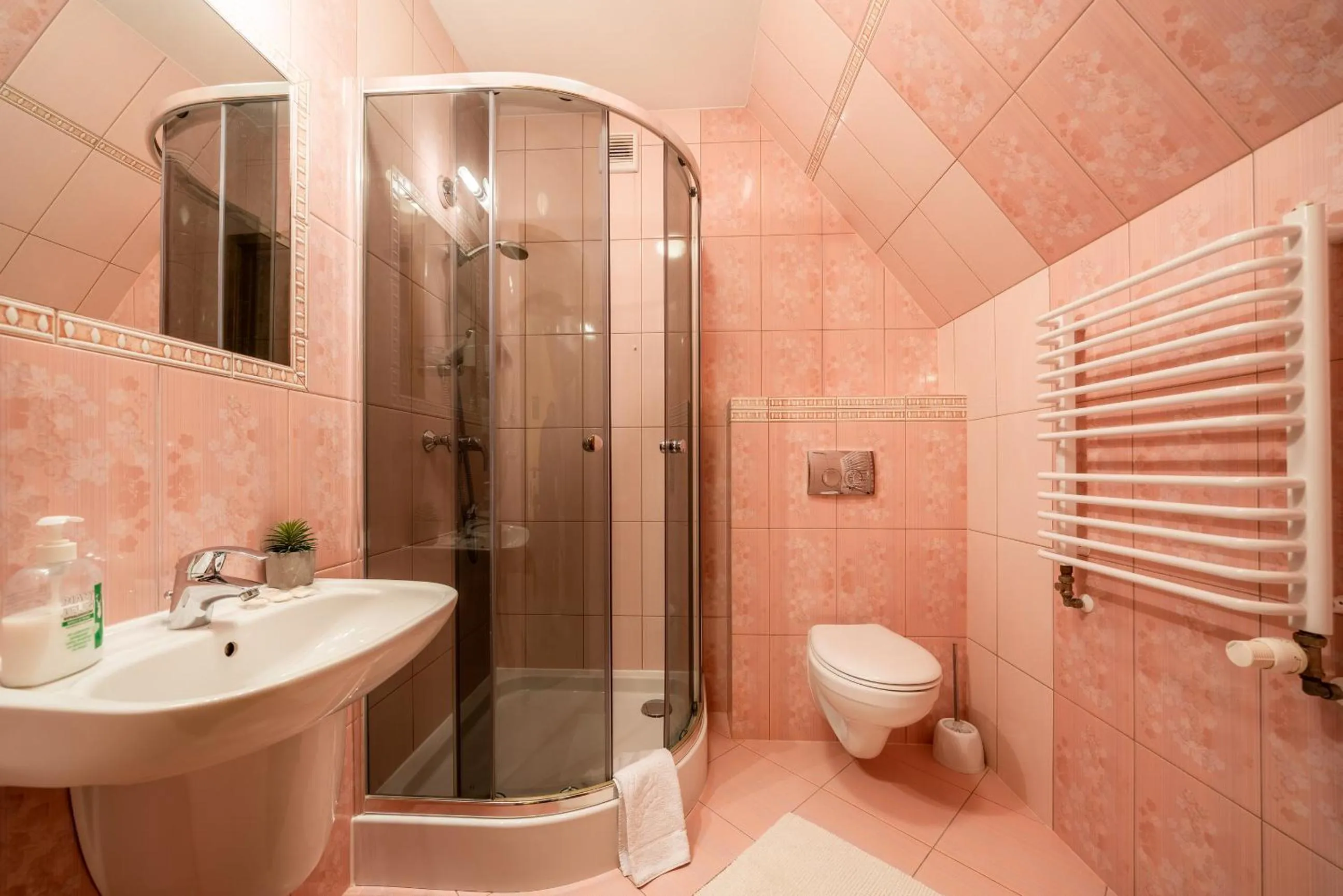 Shower in Willa u Zwijaczy