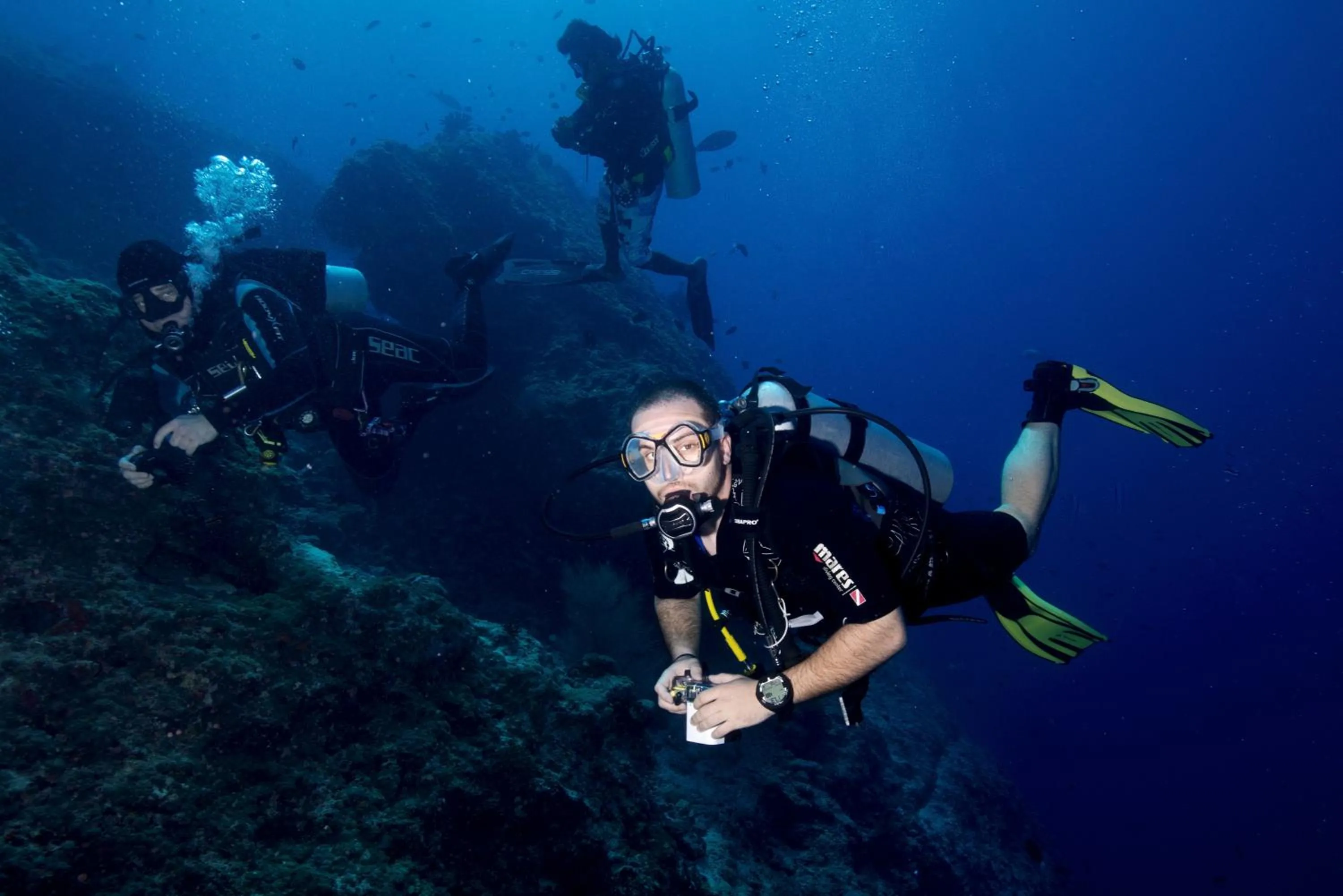 Activities in Season Paradise