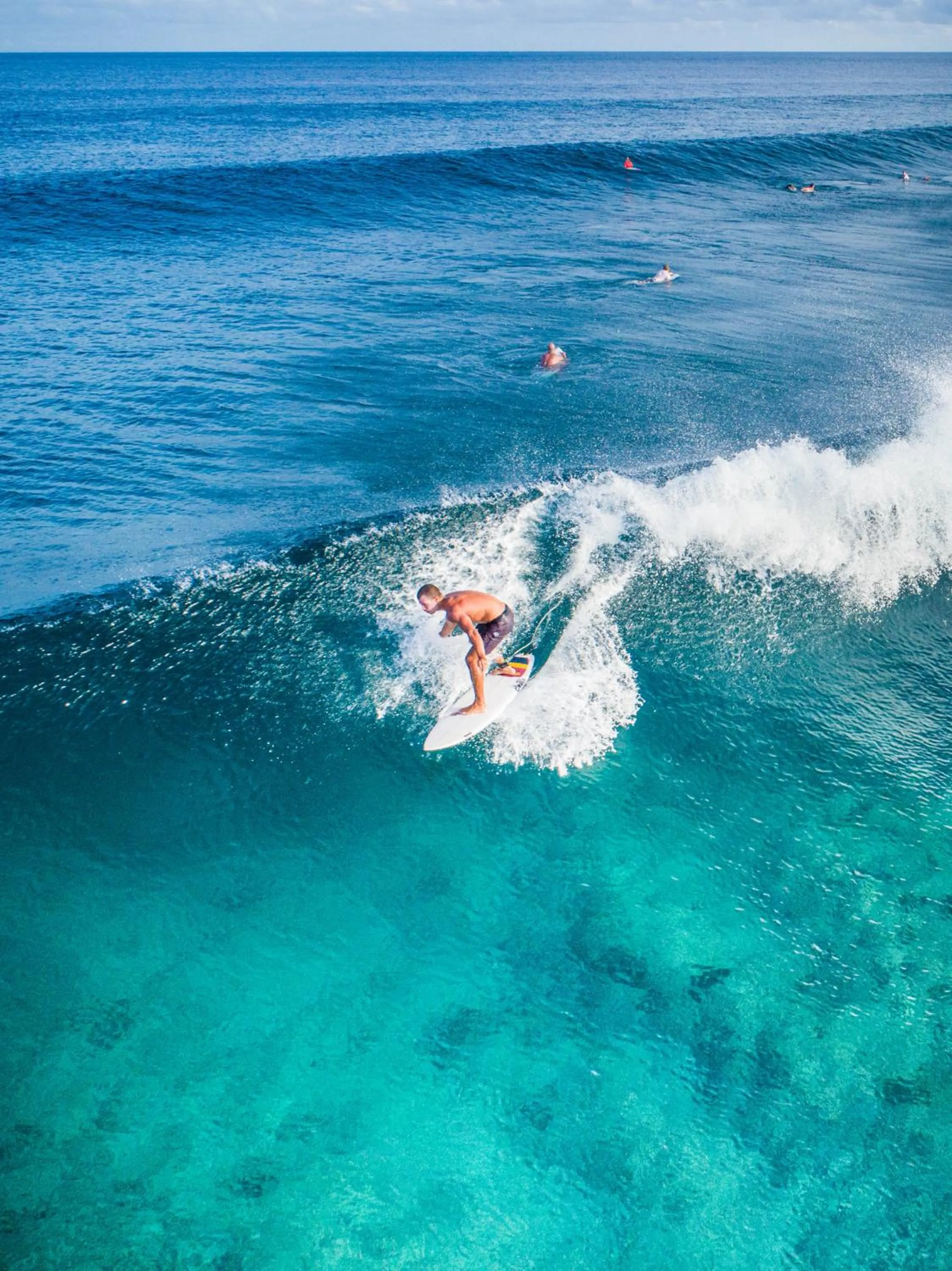 Activities in Season Paradise