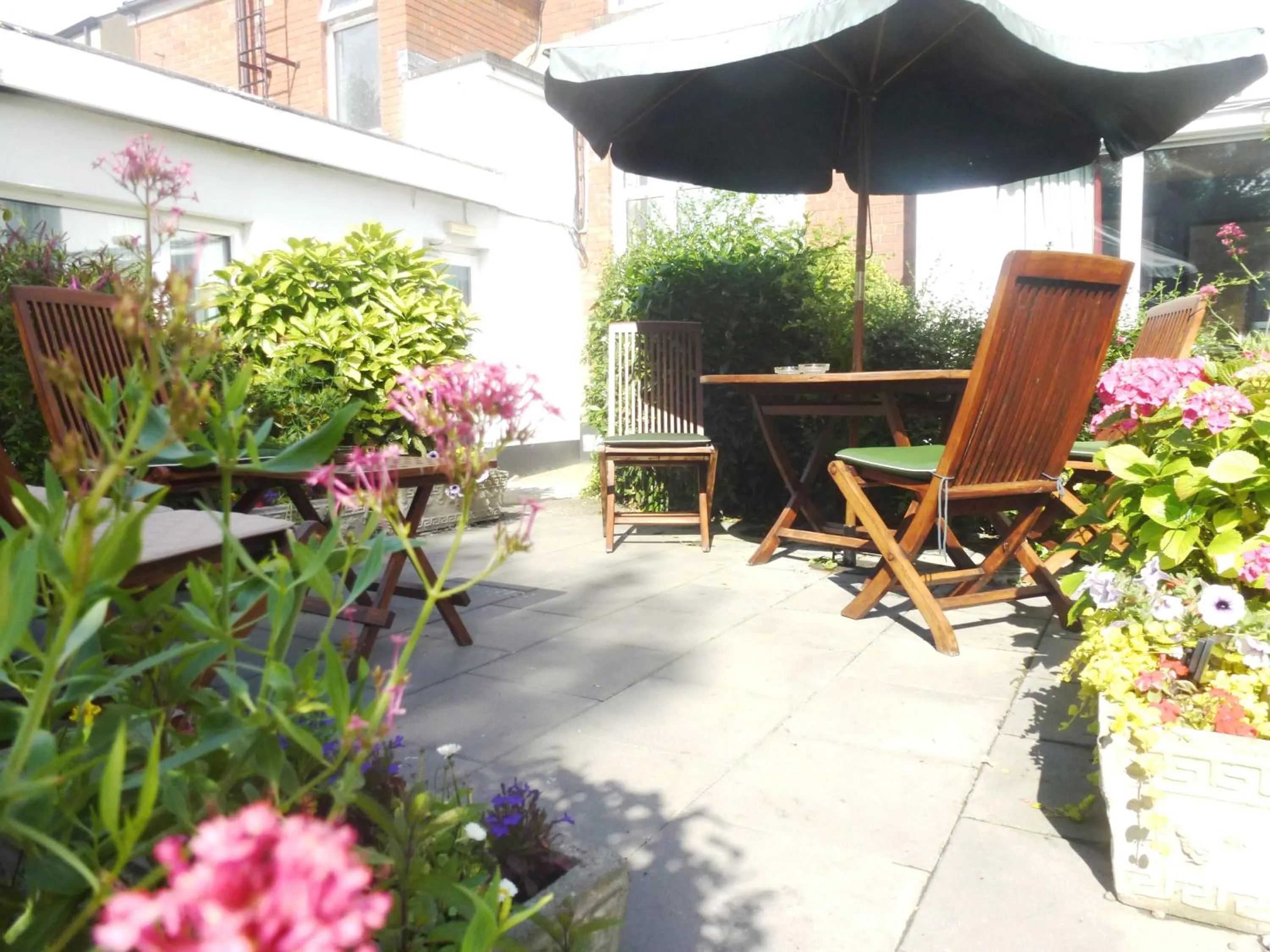 Garden in Egans House