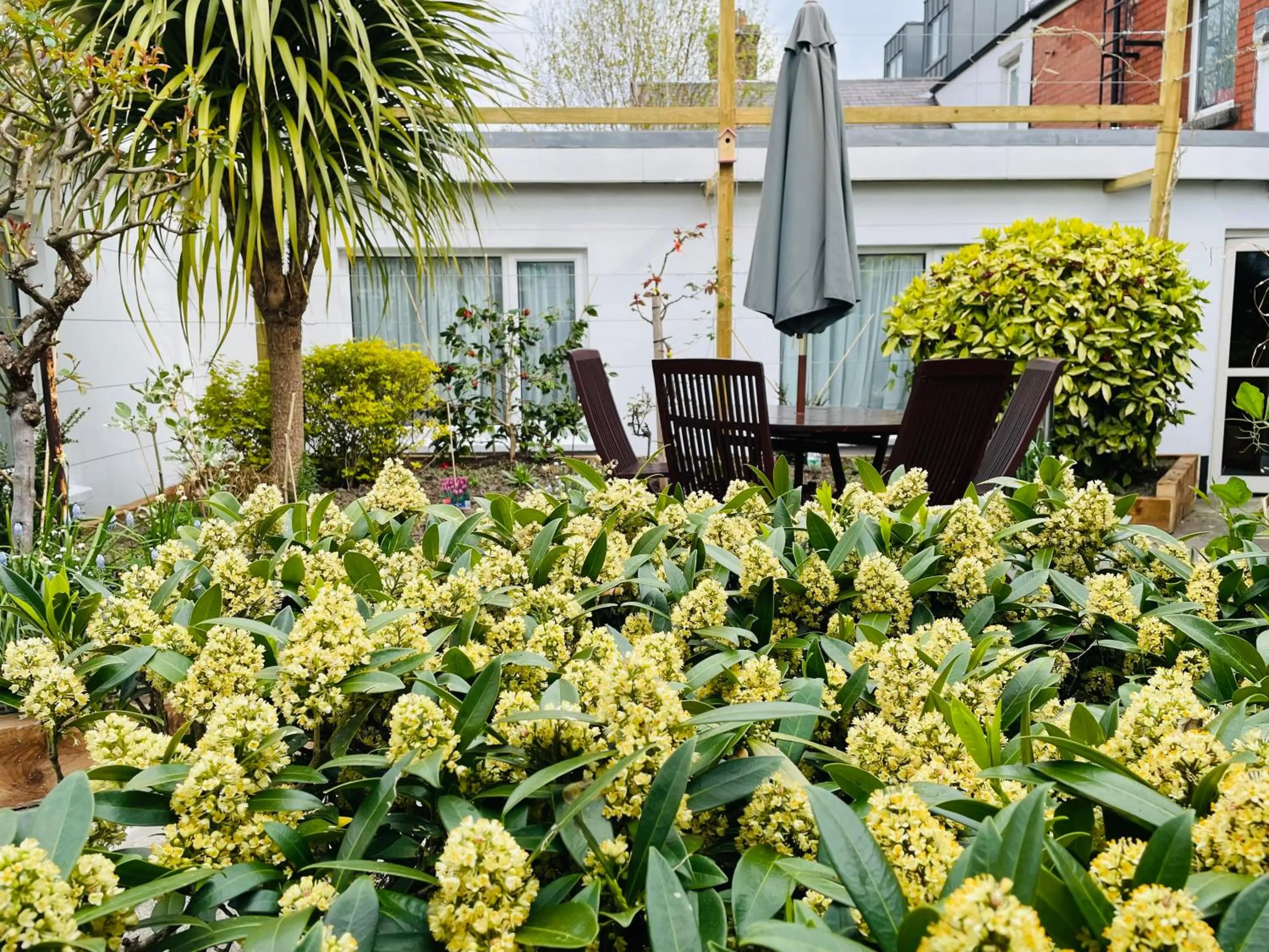 Garden in Egans House