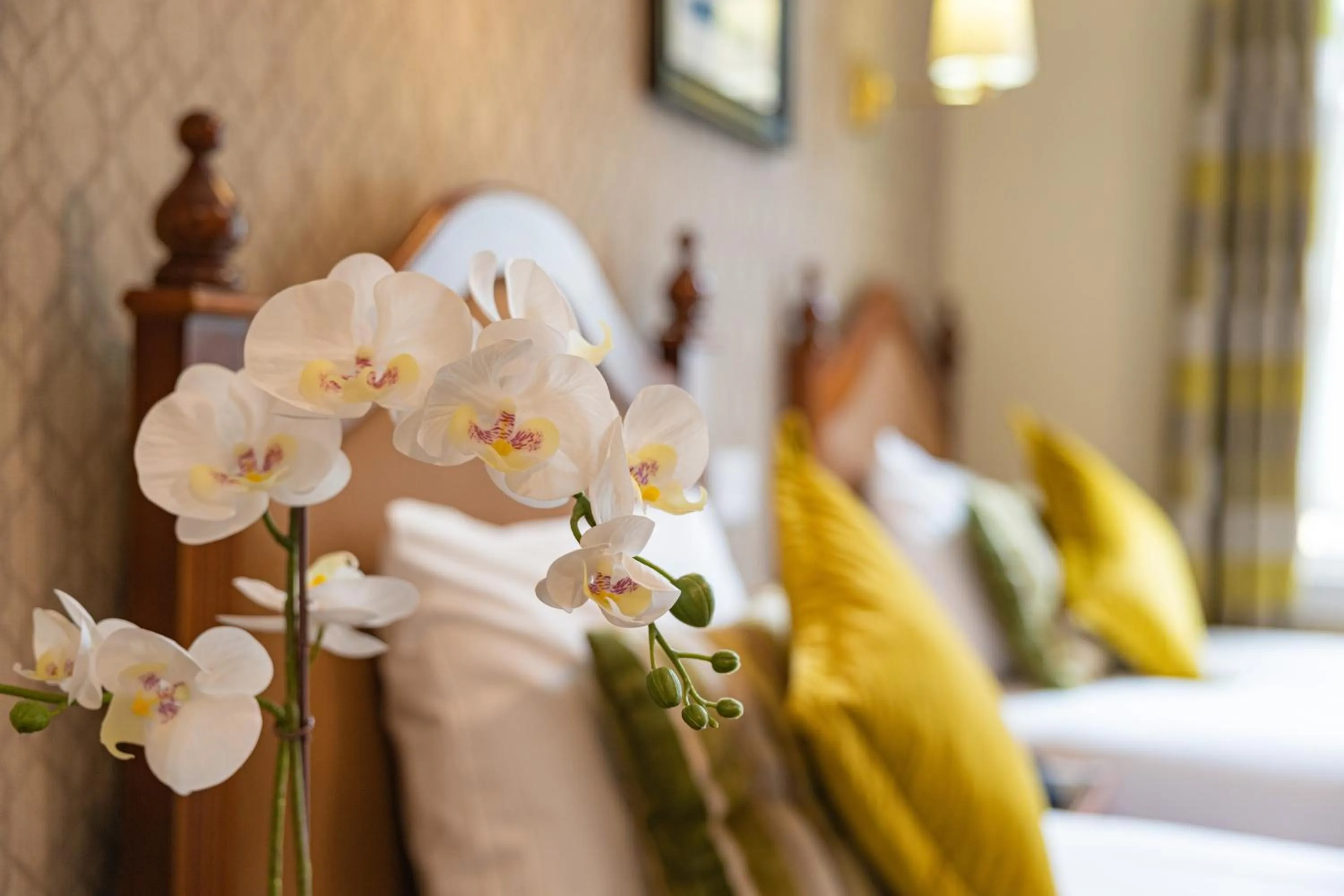 Drinks, Bed in Egans House