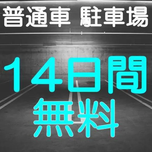 Kanku Izumiotsu Washington Hotel