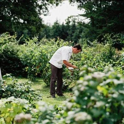 People in Dunbrody Country House Hotel
