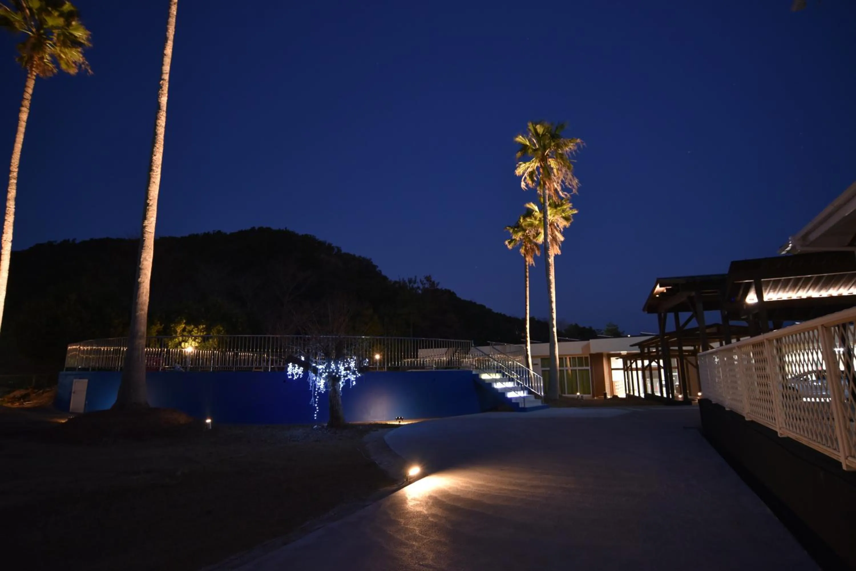 Night in Alaise De Bale Shirahama