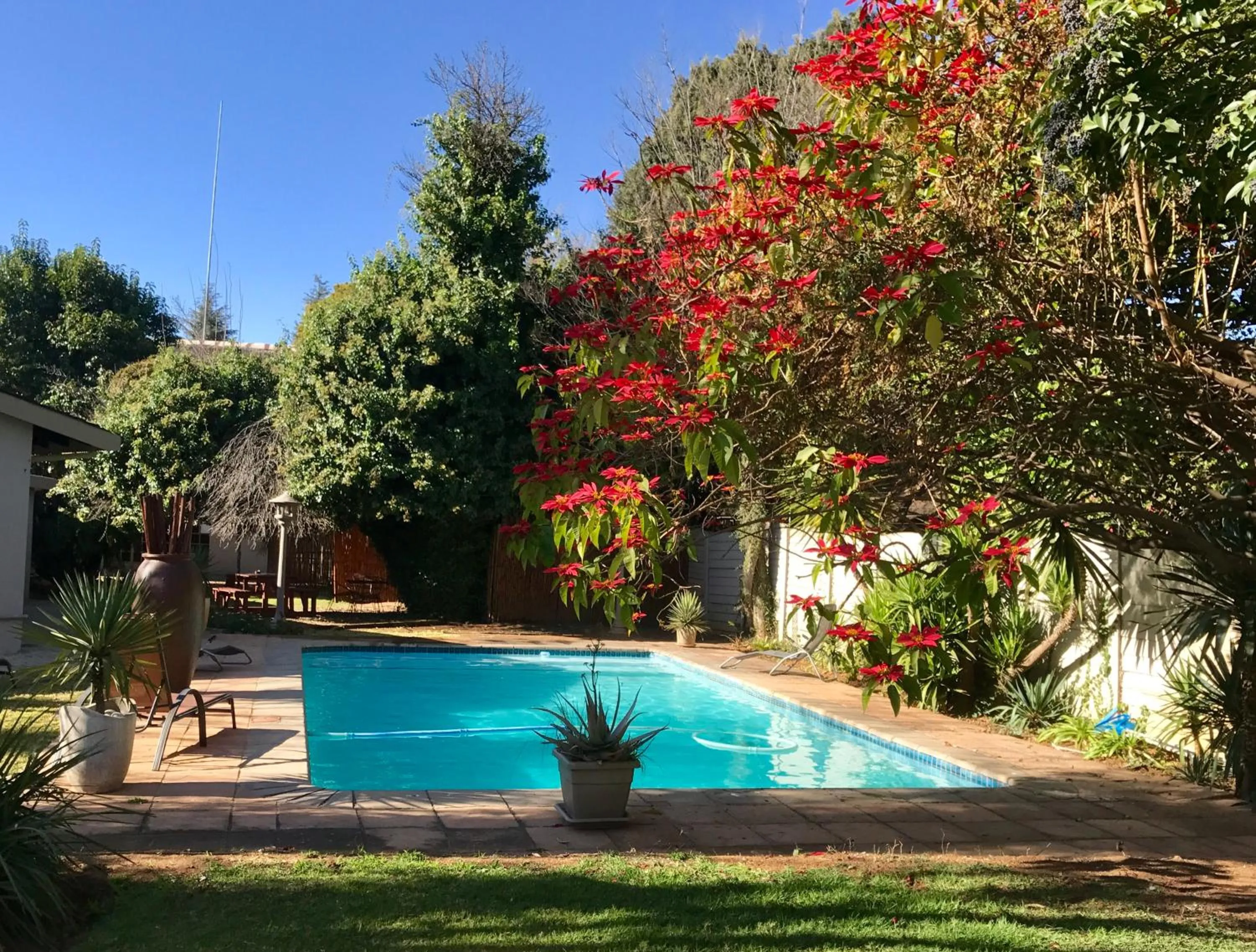 Pool view in Aerotropolis Guest Lodge