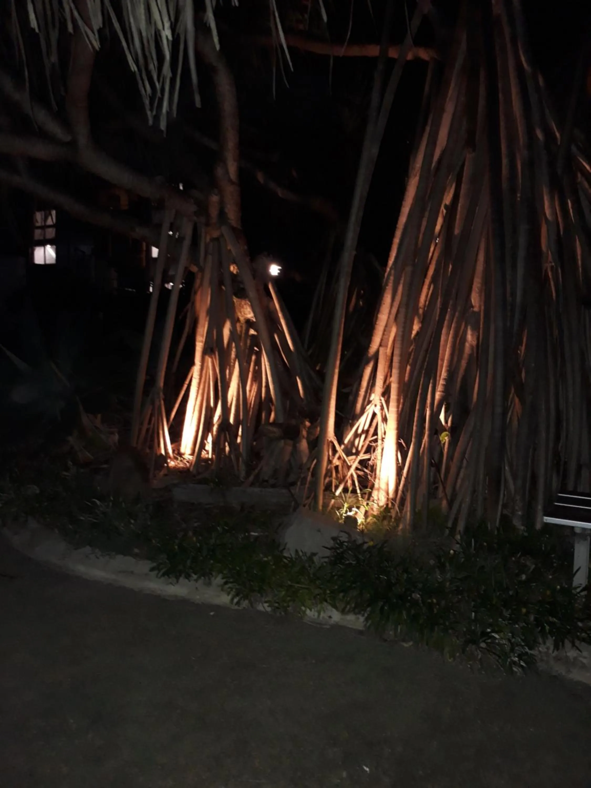 Night in Pandanus Coolum Beach