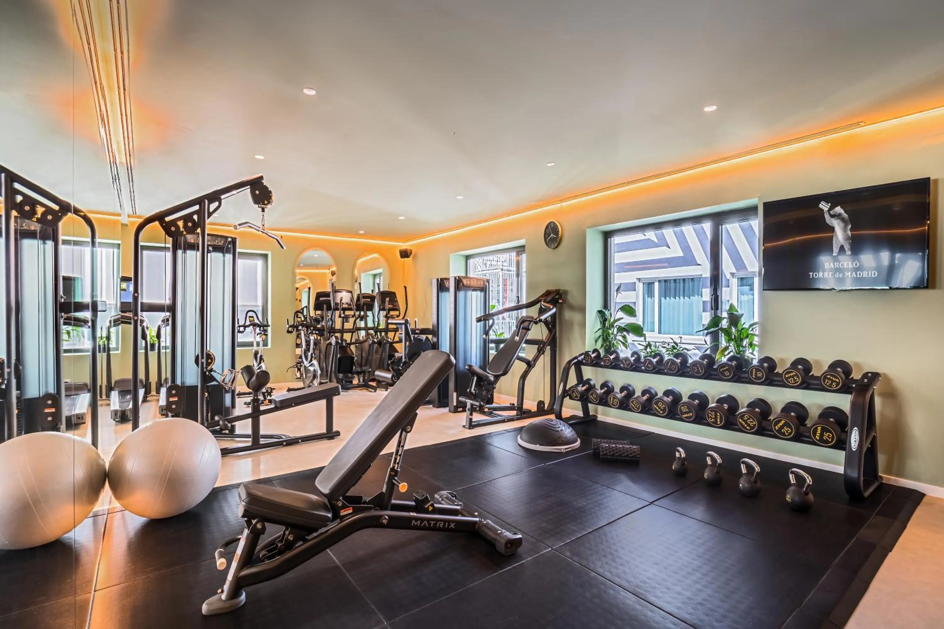 Fitness centre/facilities in Barceló Torre de Madrid