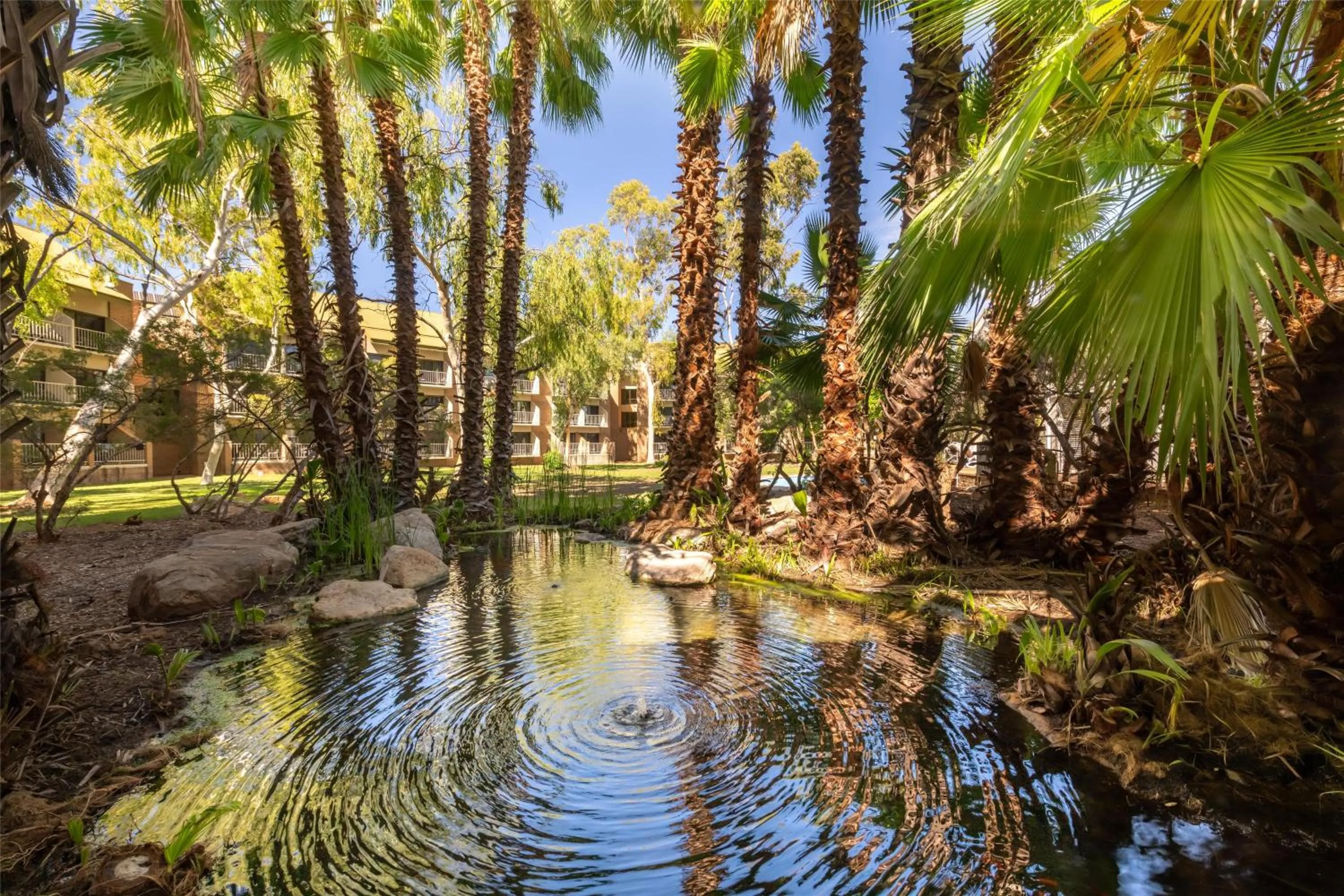 Garden in DoubleTree by Hilton Alice Springs