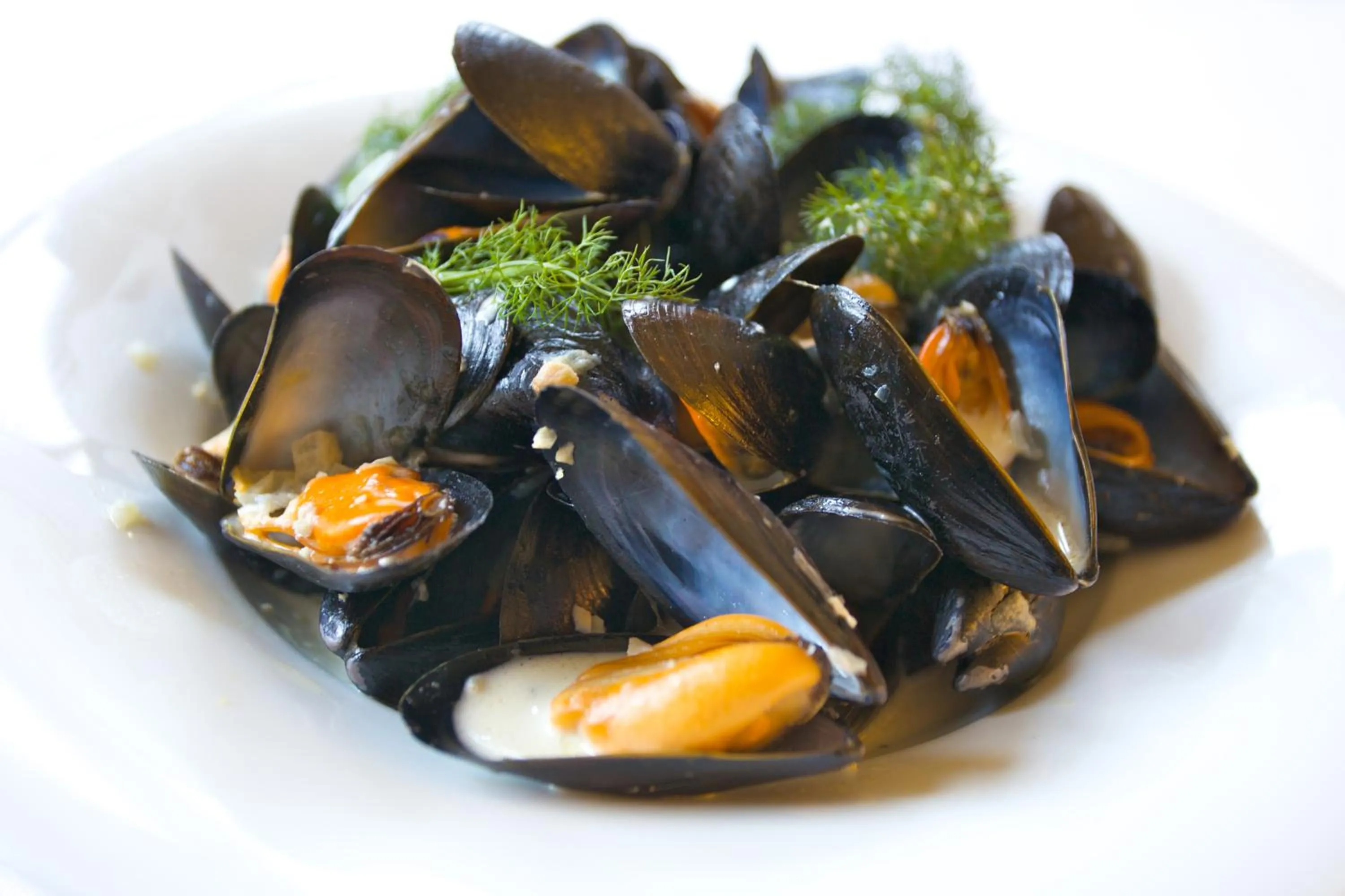 Food close-up in Penmorvah Manor Hotel