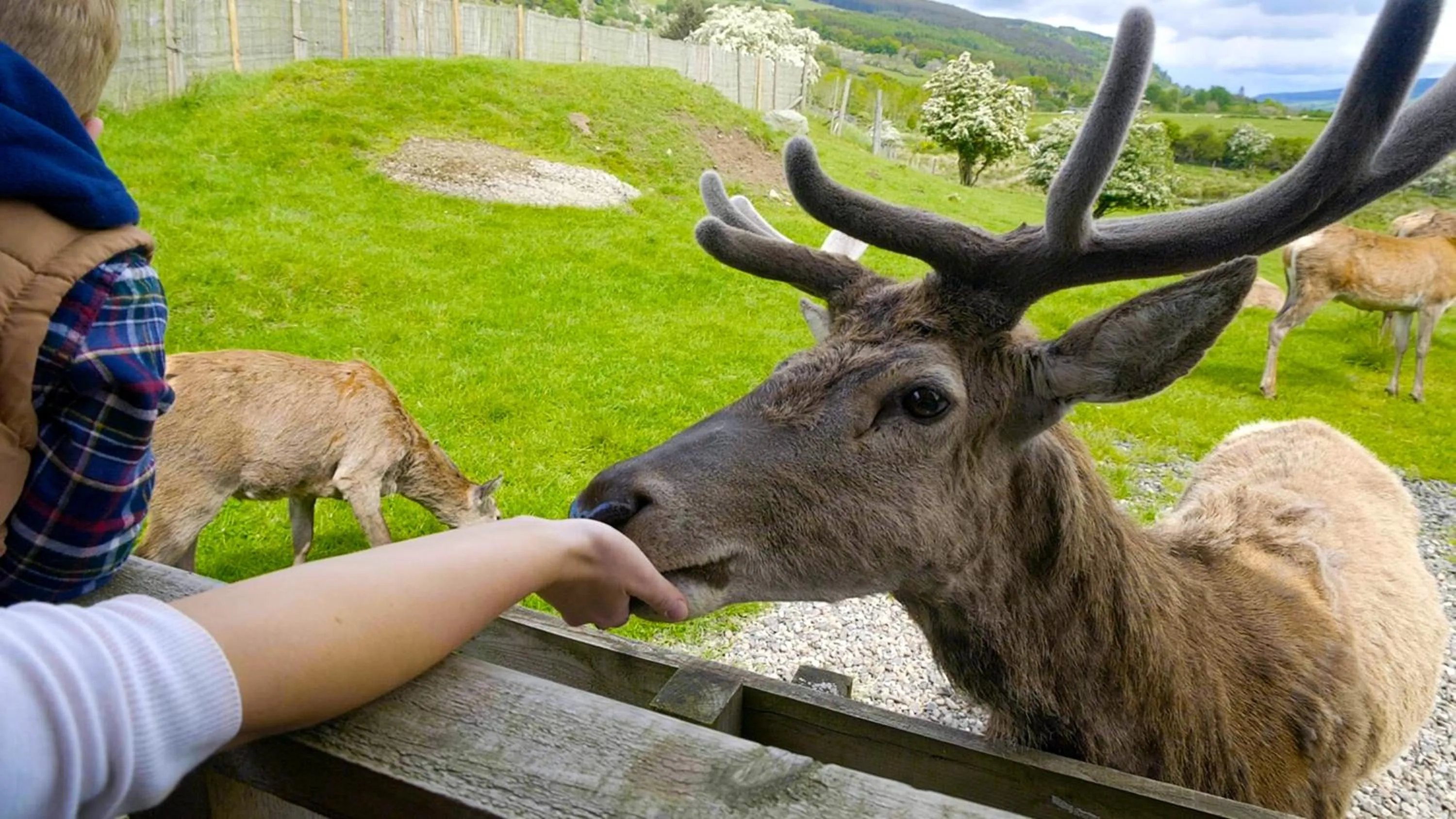 Natural landscape in Moness Resort