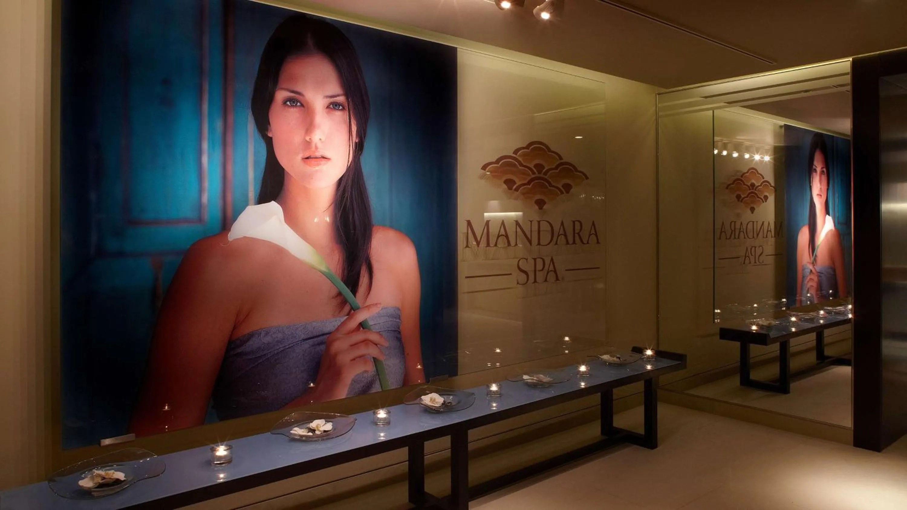 Spa and wellness centre/facilities in Park Plaza London Westminster Bridge