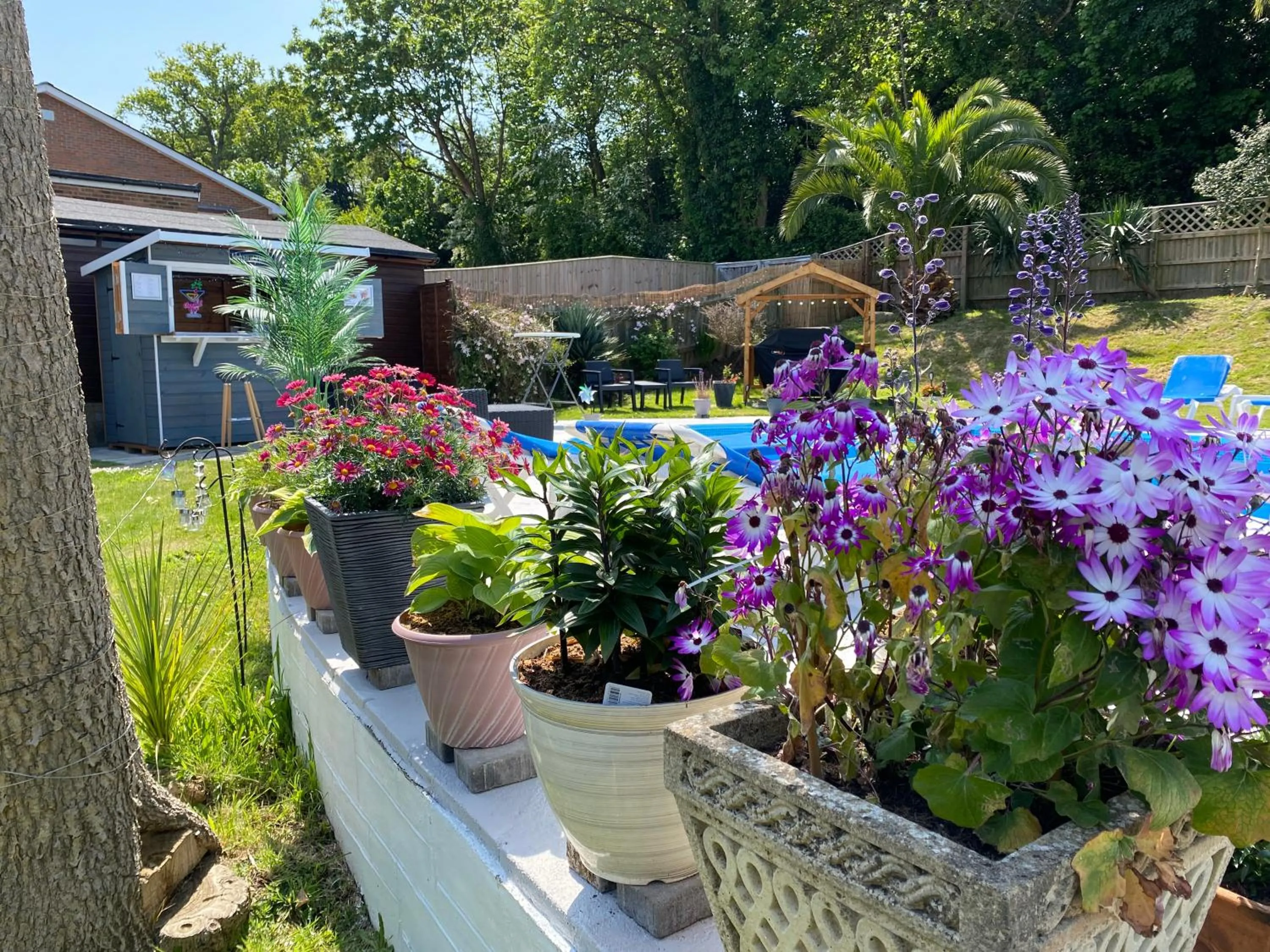 BBQ facilities in The Belmont