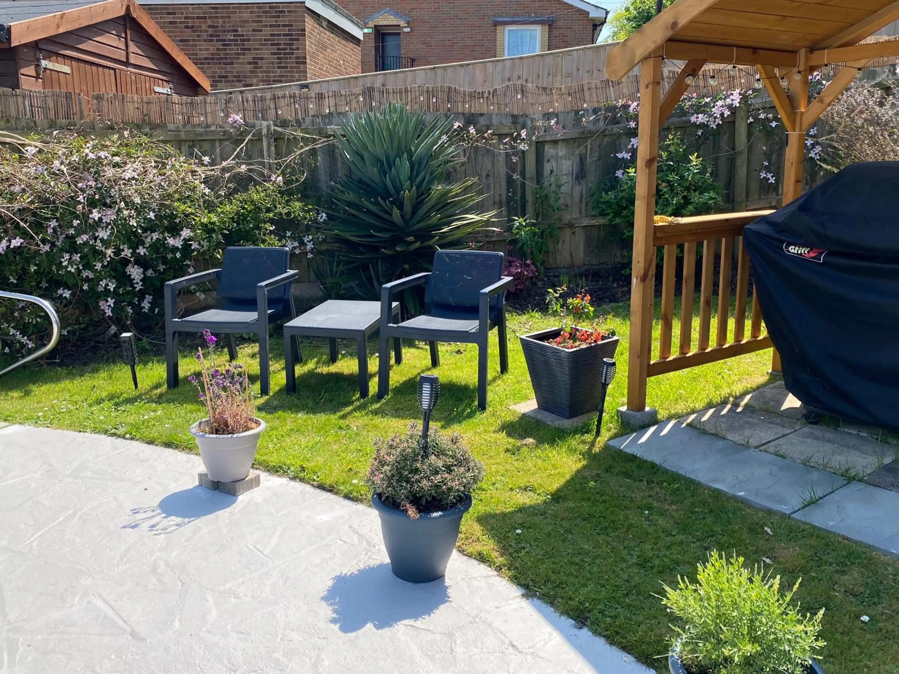 Spring in The Belmont