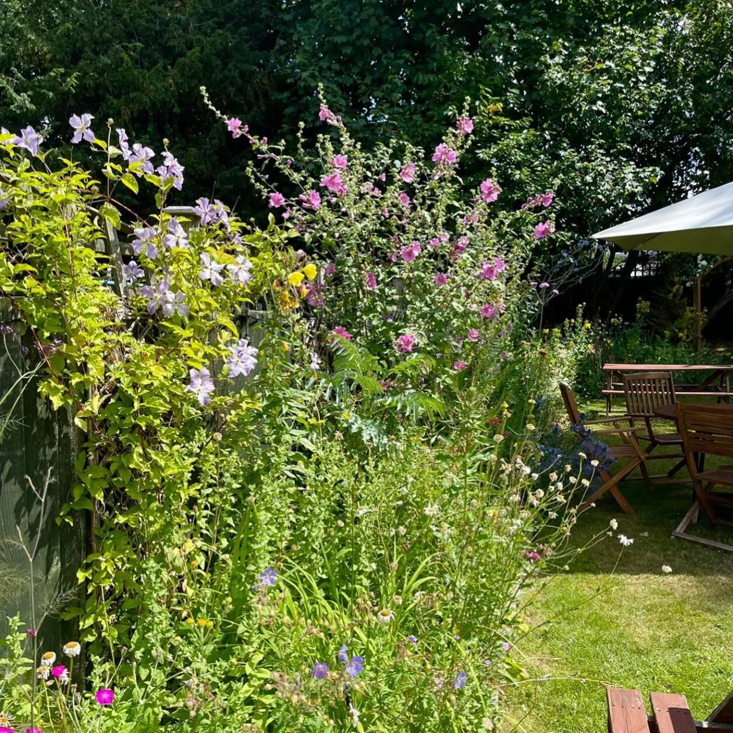 Garden in Haigs Hotel