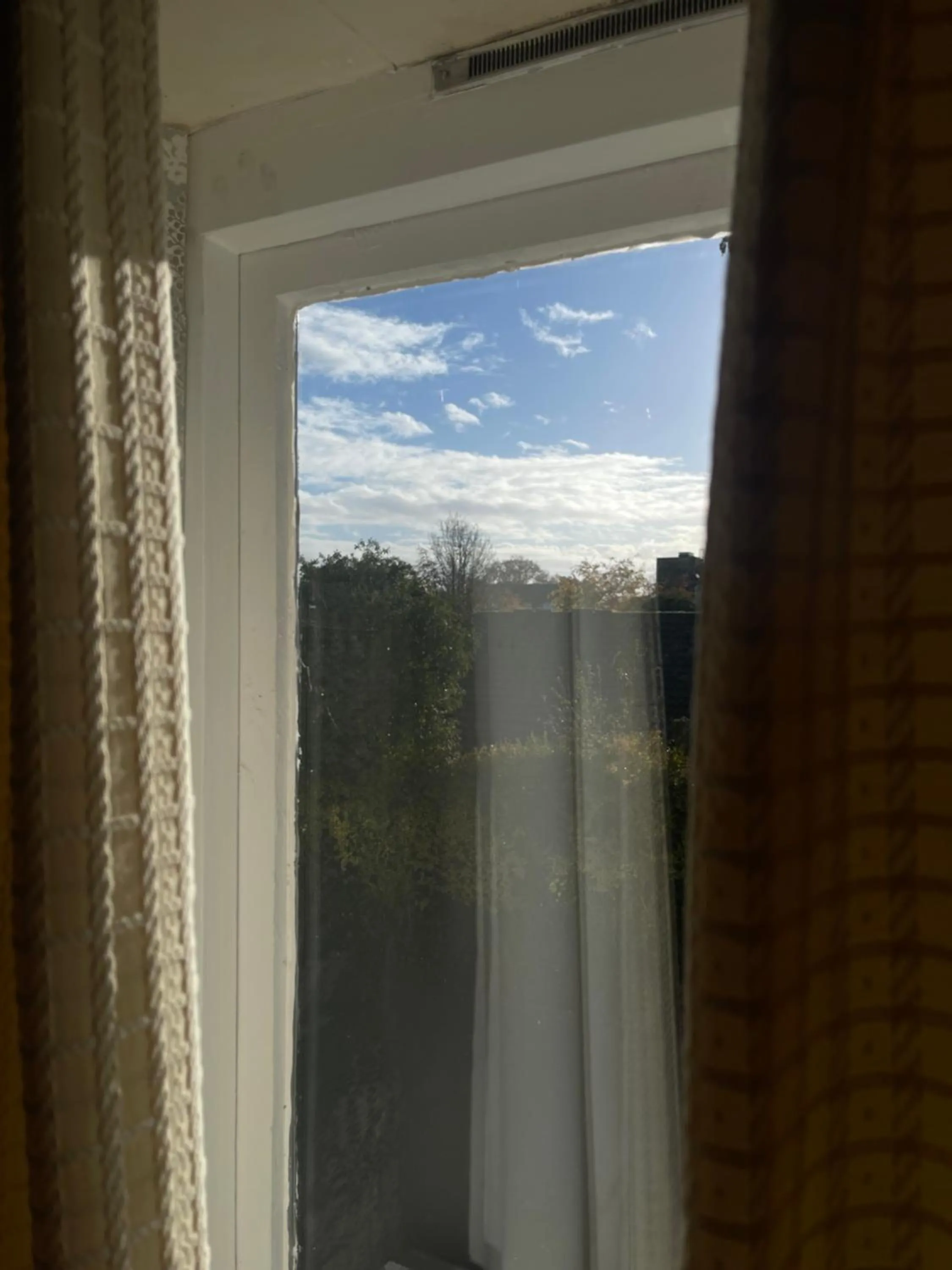 View (from property/room) in Haigs Hotel