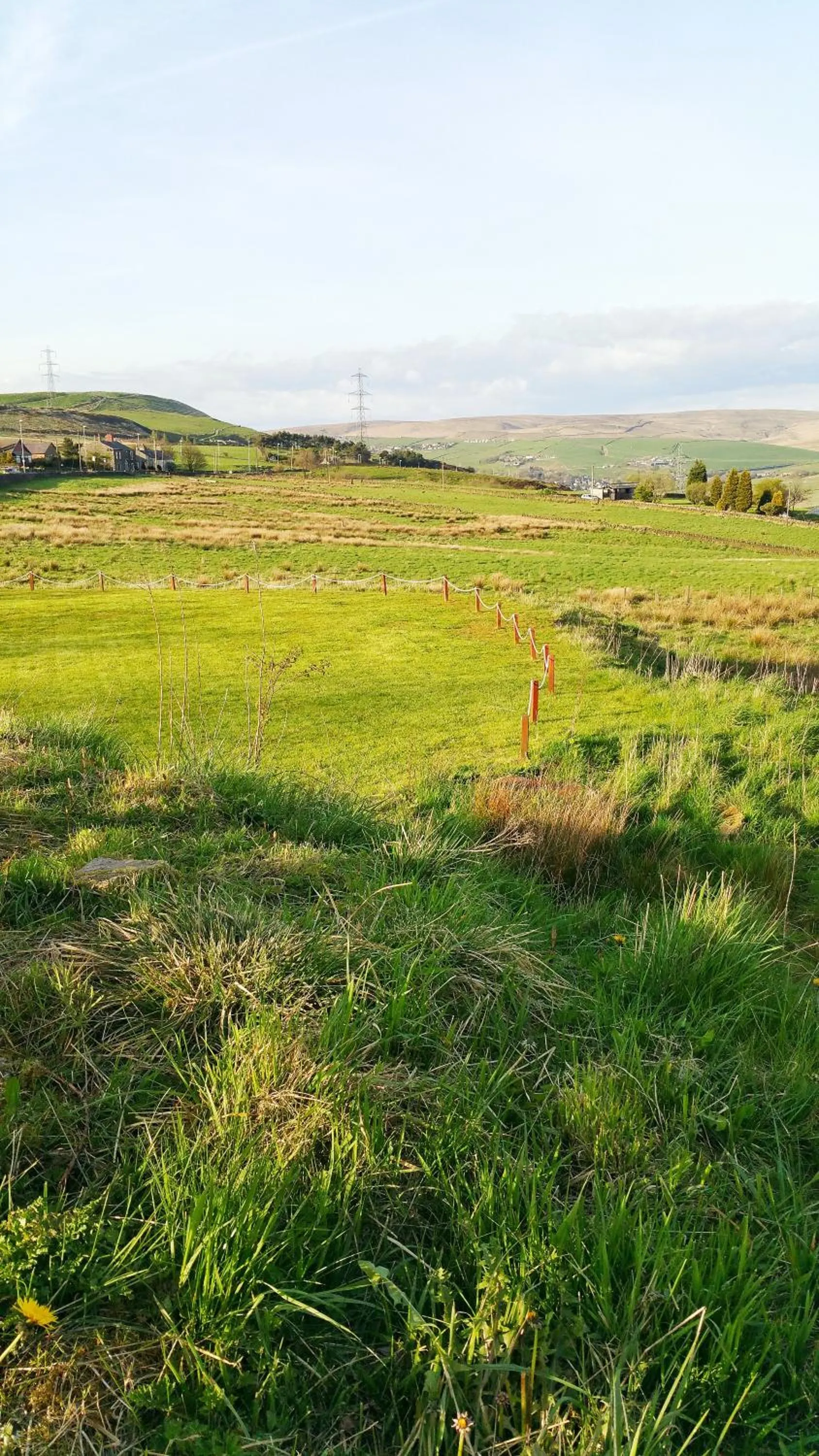 Garden in Grains Bar Hotel